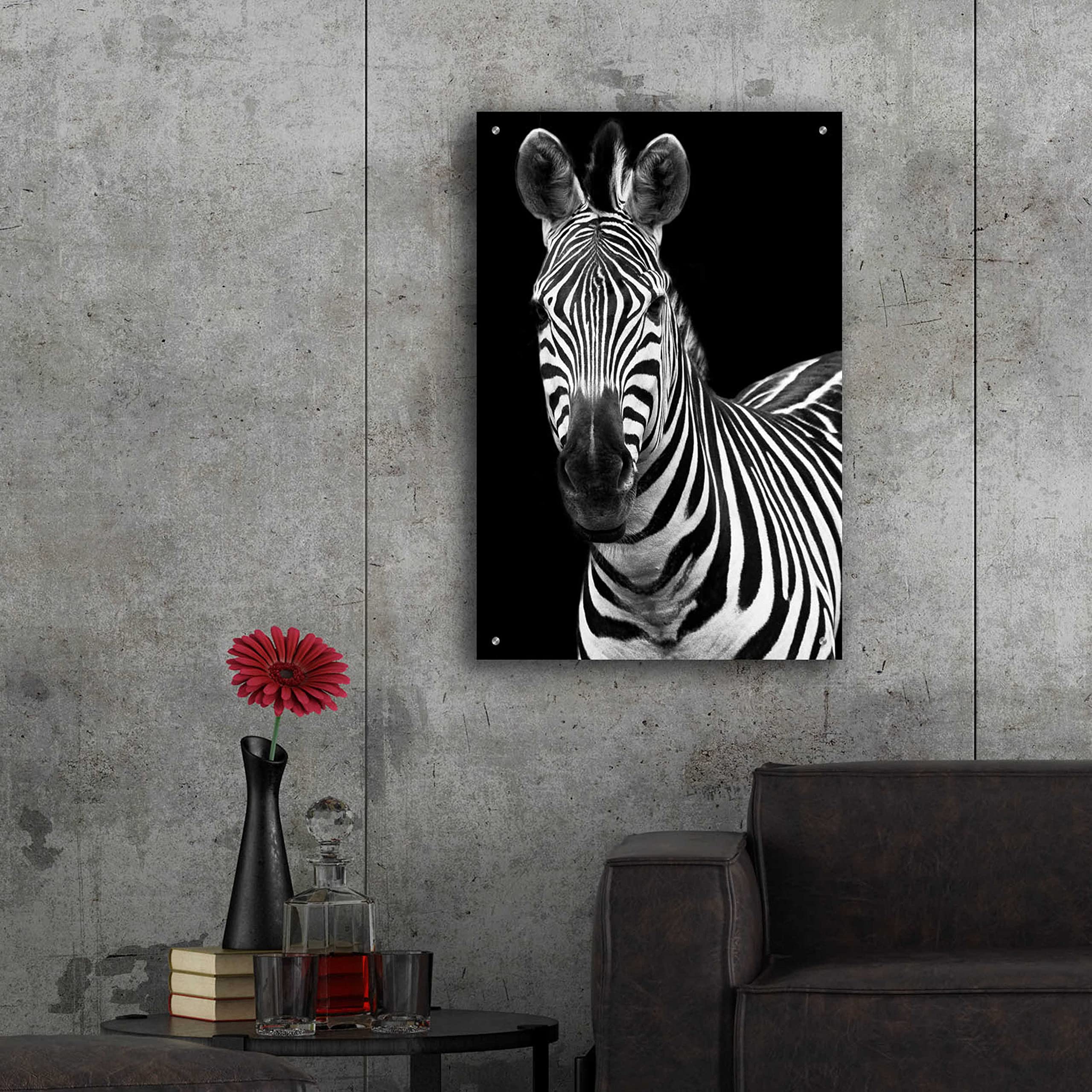 Debra Van Swearingen 'Zebra II' Acrylic Glass Wall Art - 24x36 Inches Modern Animal Print Painting for Living Room, Bedroom & Office Decor