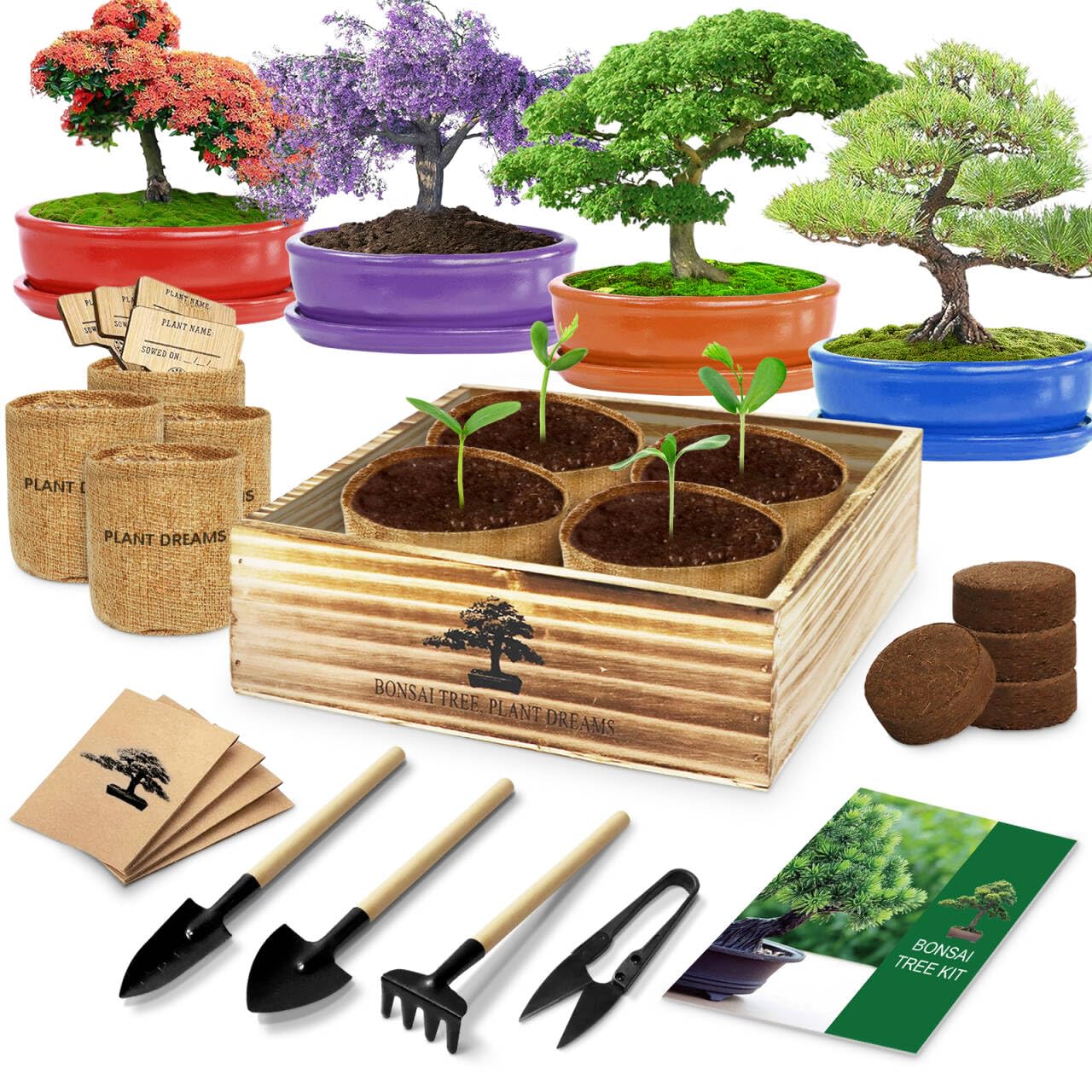Complete Bonsai Tree Starter Kit with 4 Seed Varieties, Tools & Planters - Indoor Live Plants for Gardening Enthusiasts | Perfect Gift for Women, Men, Mom, Dad & Plant Lovers | Unique Christmas Present for Home Decor, Office Zen Garden & Mindful Gardening Hobby