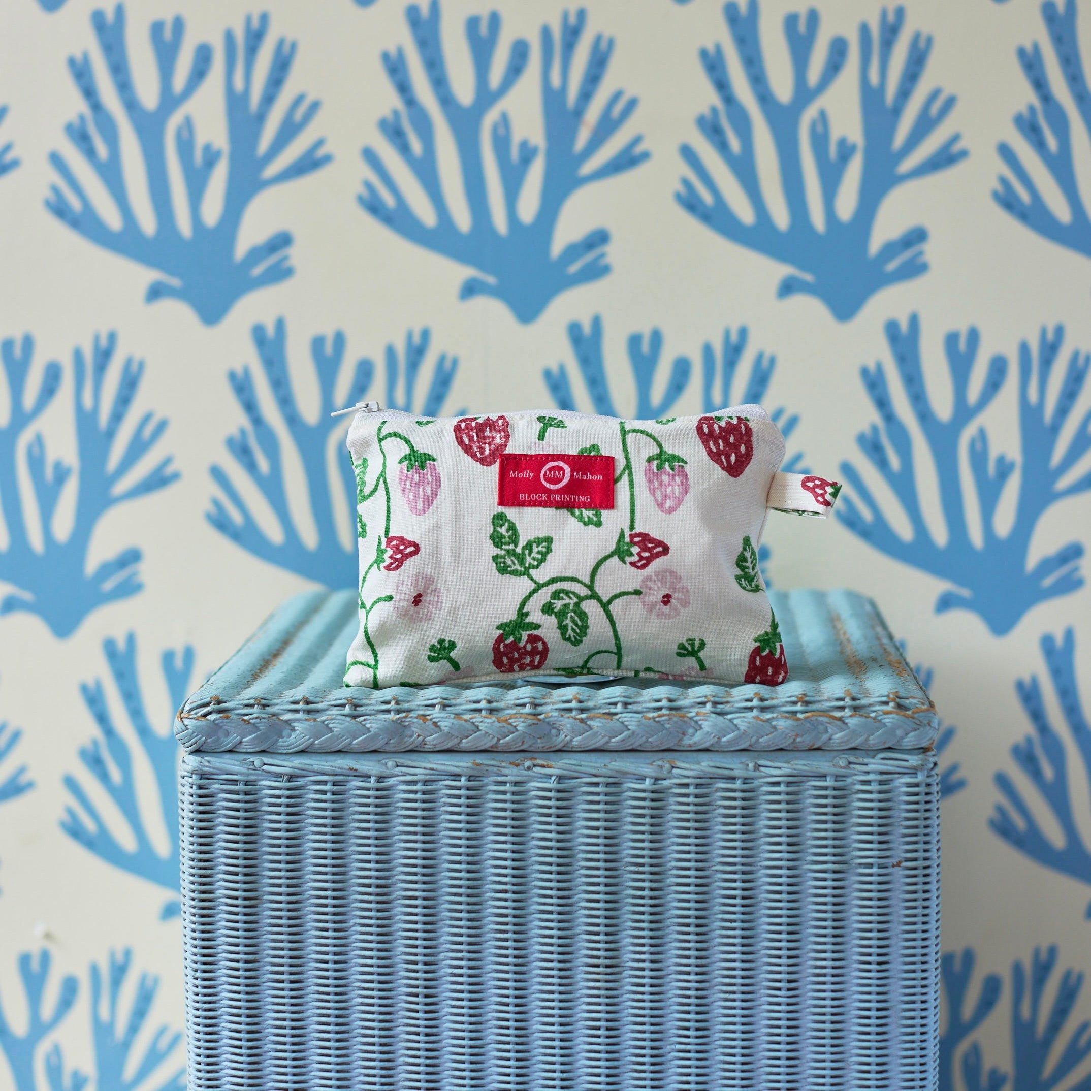 Strawberry Wash Bag - Laundry Mesh Bag for Delicates, Lingerie, Socks & Baby Clothes - Gentle Washing Protection for Travel & Home Use