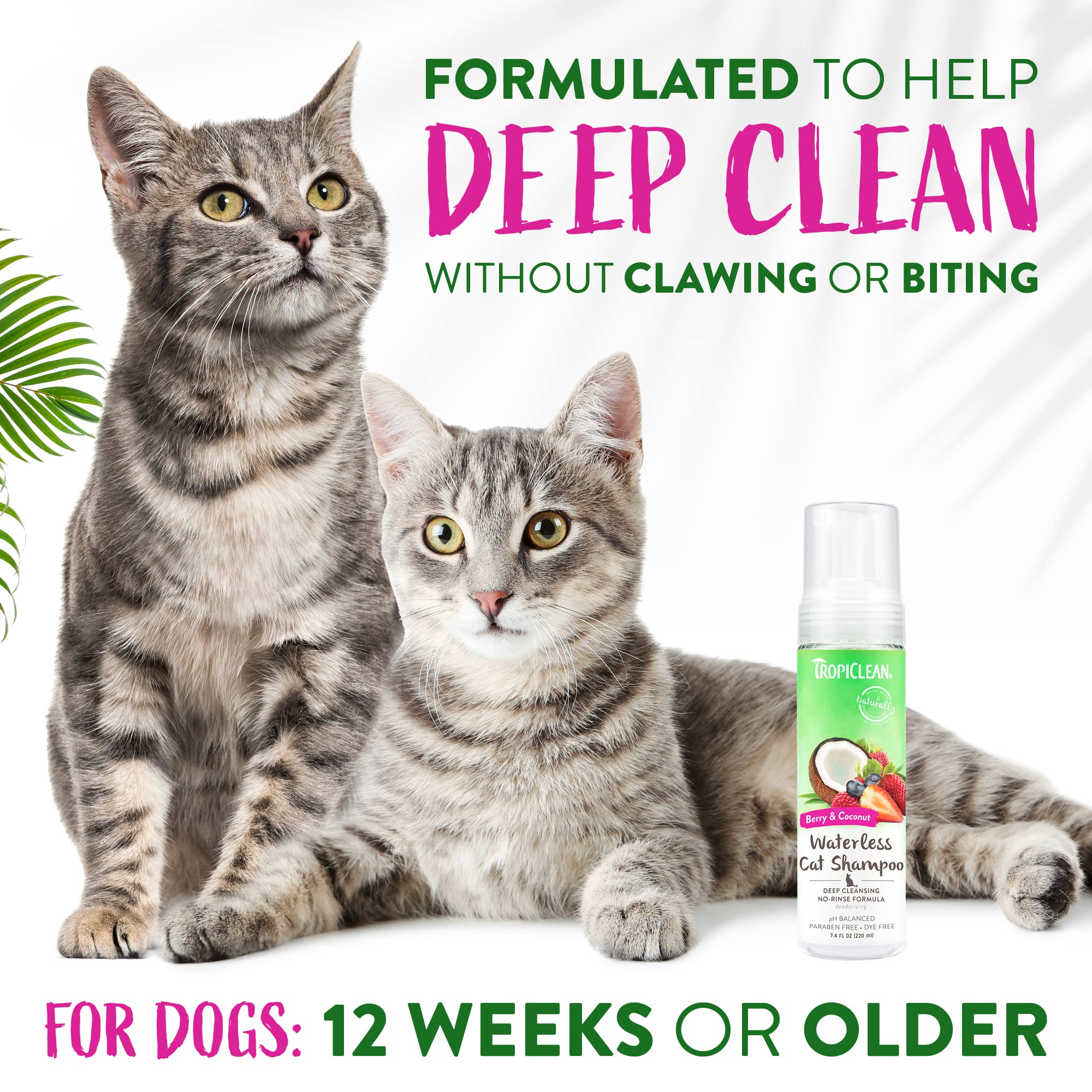 TropiClean Berry Coconut Waterless Cat Shampoo - Natural Dry Shampoo for Deep Cleansing | Made in USA | 7.4 oz | Gentle Formula with Coconut & Berry Extracts | Perfect for Quick Cleaning Between Baths & Travel Use