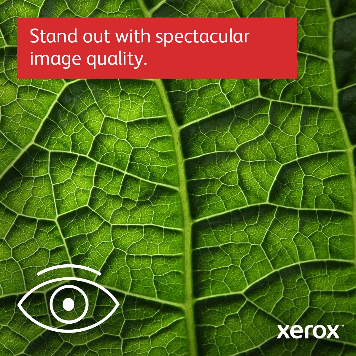 Xerox C230/DNI Wireless Color Laser Printer for Home & Office - High-Quality Printing, Fast & Reliable Performance, Ideal for Documents, Photos & Small Business Use