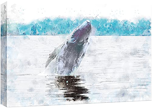 Bs21-2105-marinelife-slm01