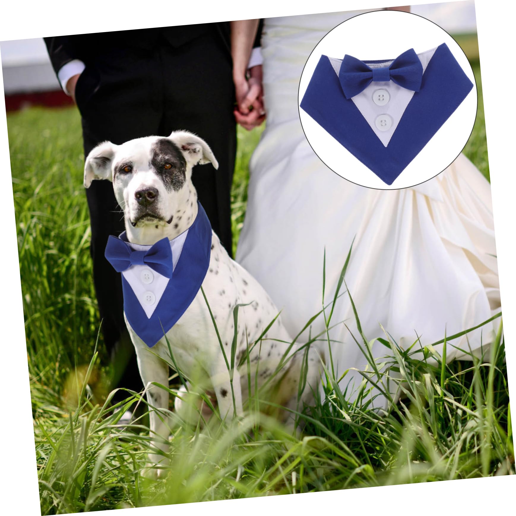 Premium Mipcase Dog Scarf - Adjustable Pet Bandana for Weddings, Parties & Special Occasions - Easy-Tie Blue XS Collar Accessory - Perfect for Pet Photo Shoots & Holiday Celebrations