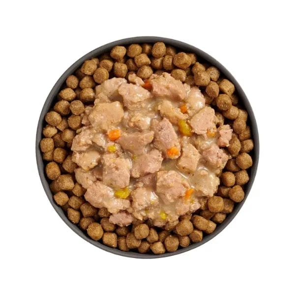 Go! Solutions Booster Brain Health Minced Chicken & Salmon Wet Cat Food with Gravy - Supports Cognitive Function & Healthy Skin for Adult Cats - Perfect for Picky Eaters & Mealtime Enrichment