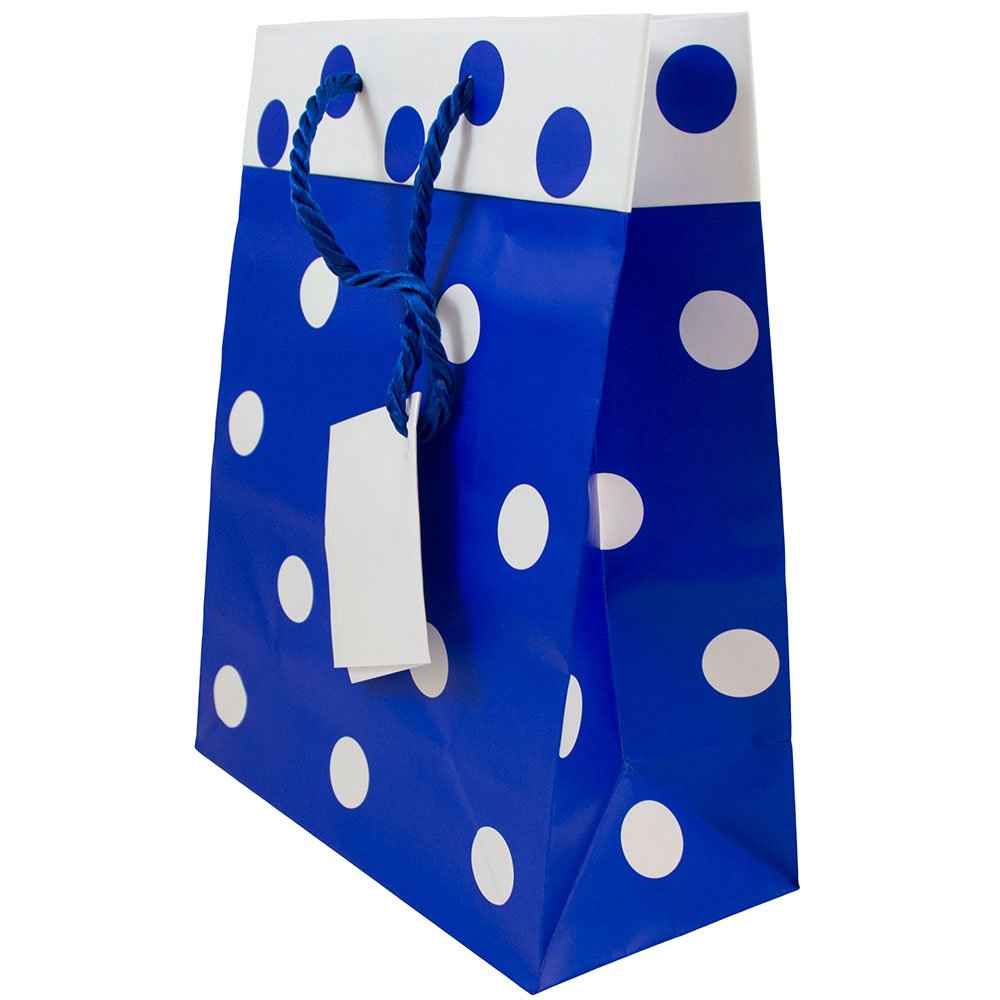 JAM PAPER Medium Gift Bags with Rope Handles 8x10x4 Inches - Blue & White Polka Dot Matte Finish - 24 Pack - Perfect for Birthday, Wedding & Party Favors