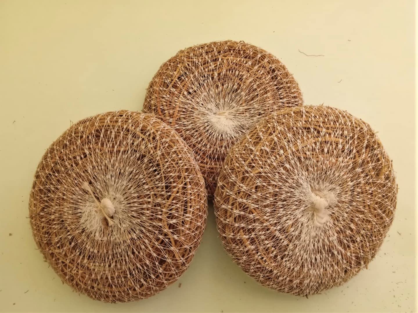Organic Vetiver Root Body Scrubber for Stress Relief & Cooling - Pack of 3 | Natural Bathing Exfoliator with Ramacham Fragrance | Perfect for Spa Day, Ayurvedic Self-Care & Summer Refreshment