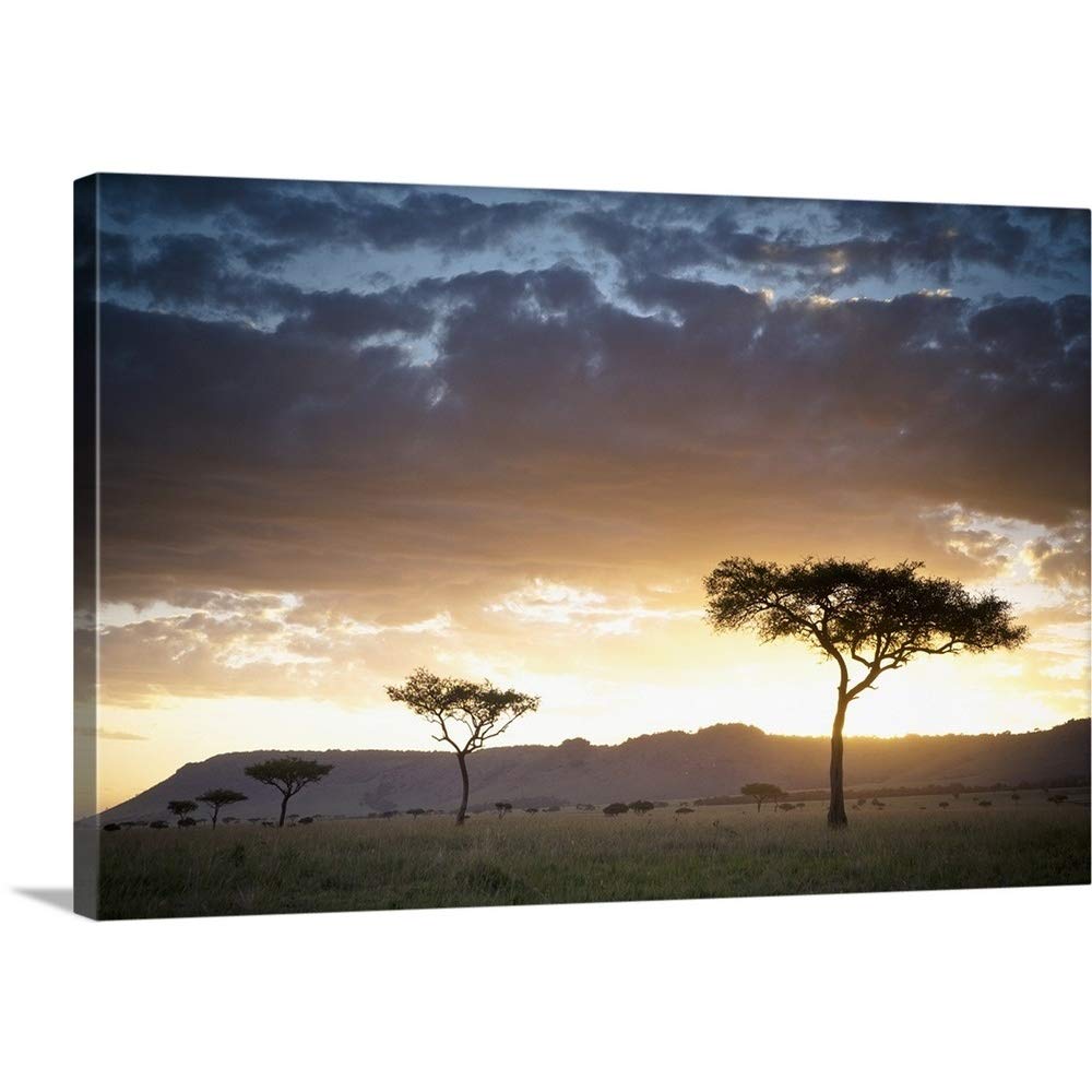African Wildlife Canvas Wall Art Print - Trees & Animals Photography Artwork for Living Room, Bedroom & Office Decor