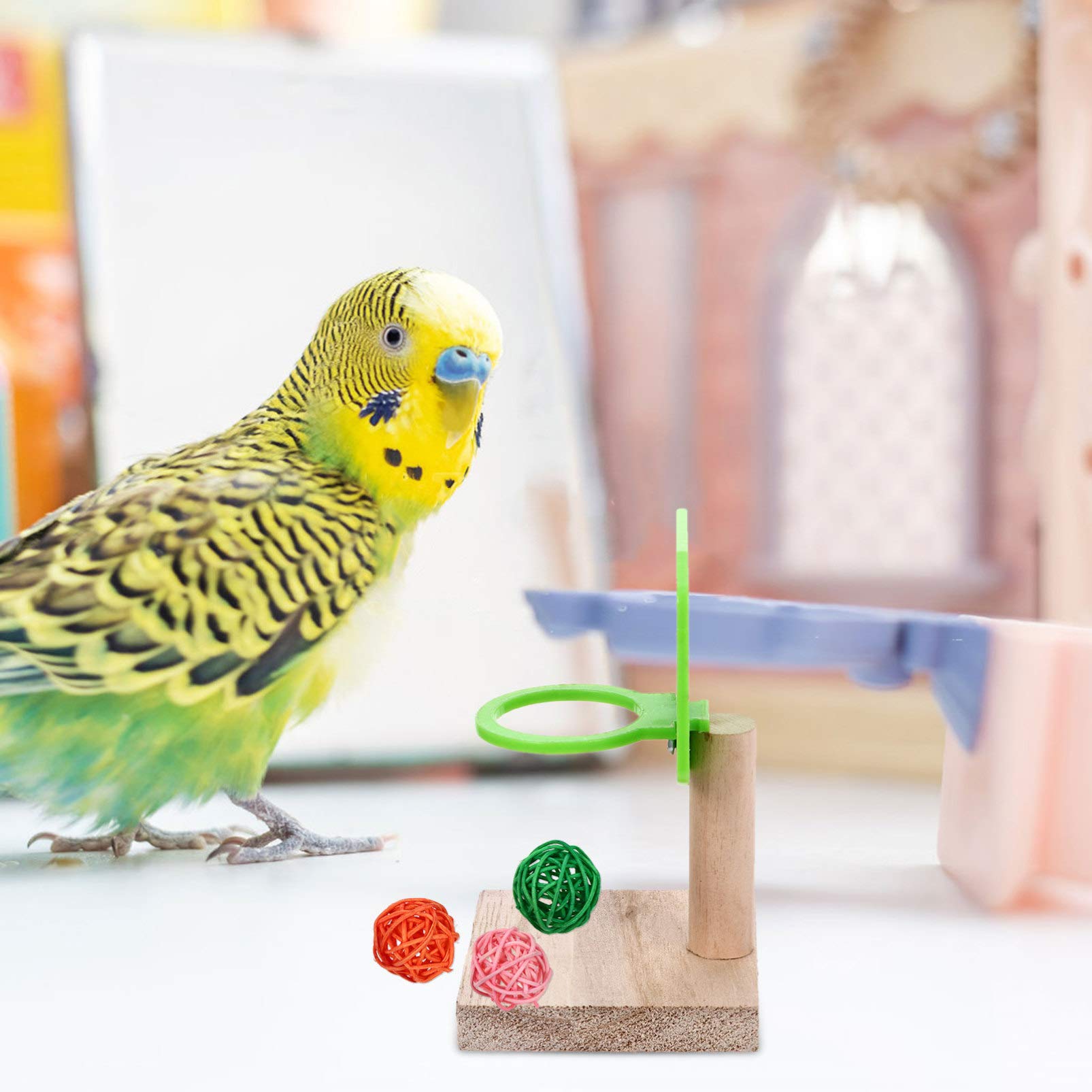 TEHAUX 3 Sets Parrot Training Toys - Interactive Stacking Rings & Foraging Puzzle Toys for Birds, Cockatiels, Parakeets - Mental Stimulation & Exercise Toys for Small to Medium Pet Birds - Perfect for Cage Play, Training Sessions & Boredom Relief - Great for Bonding Time & Bird Enrichment Activities