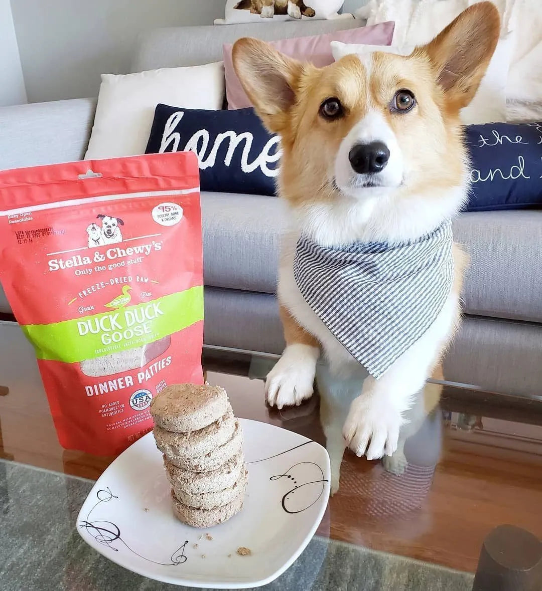Stella & Chewy's Freeze-Dried Raw Dog Food Patties - Duck, Duck, Goose Recipe | Grain-Free, High-Protein for Small & Large Dogs | Perfect for Training, Travel & Mealtime