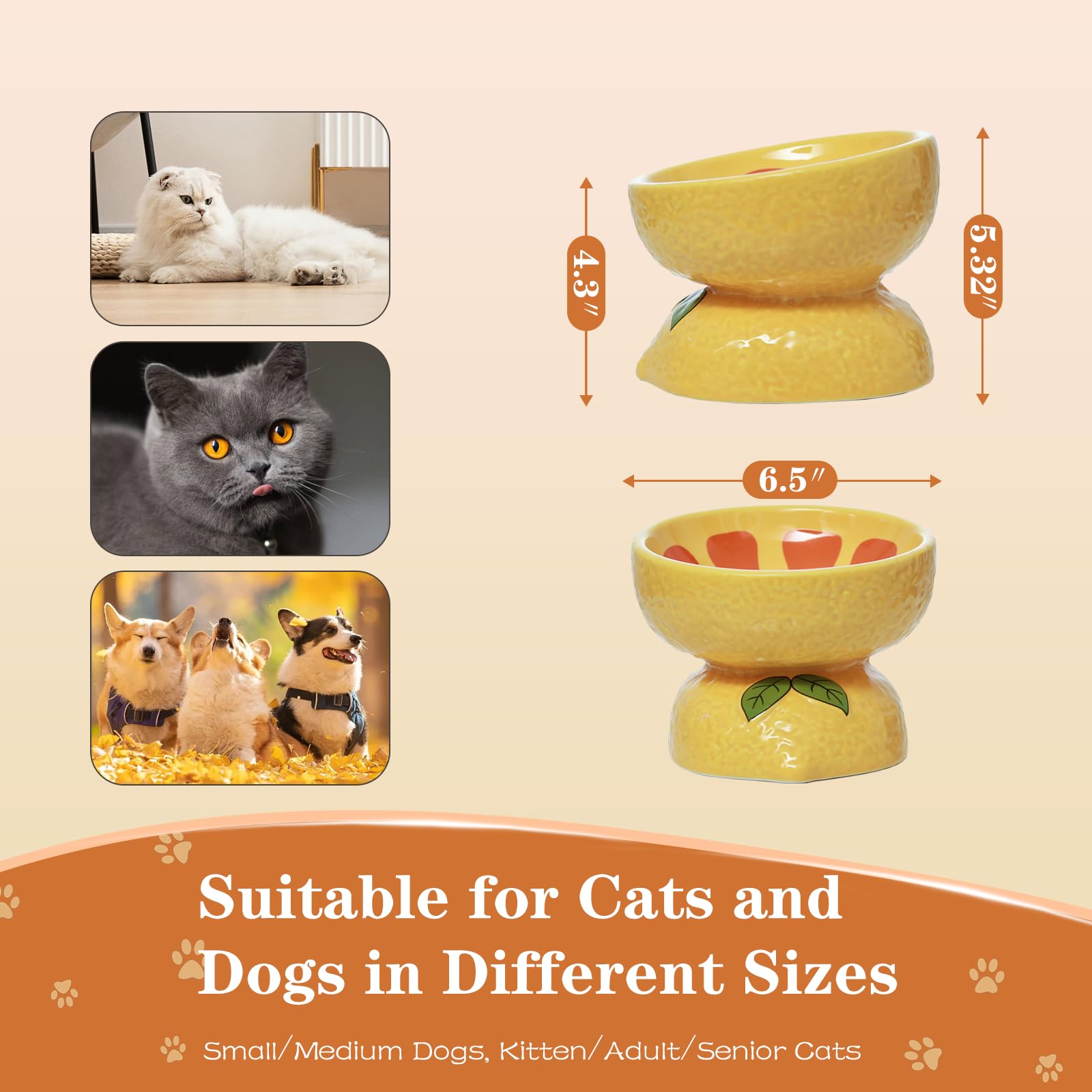 Elevated Cat Bowl - Ceramic Tilted Cat Food Dish for Indoor Cats & Small Dogs | Whisker-Friendly Shallow Wide Bowl for Adult Cats & Medium Pets | Perfect for Home, Kitchen & Pet Feeding Station (Yellow)