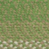 Green & Beige