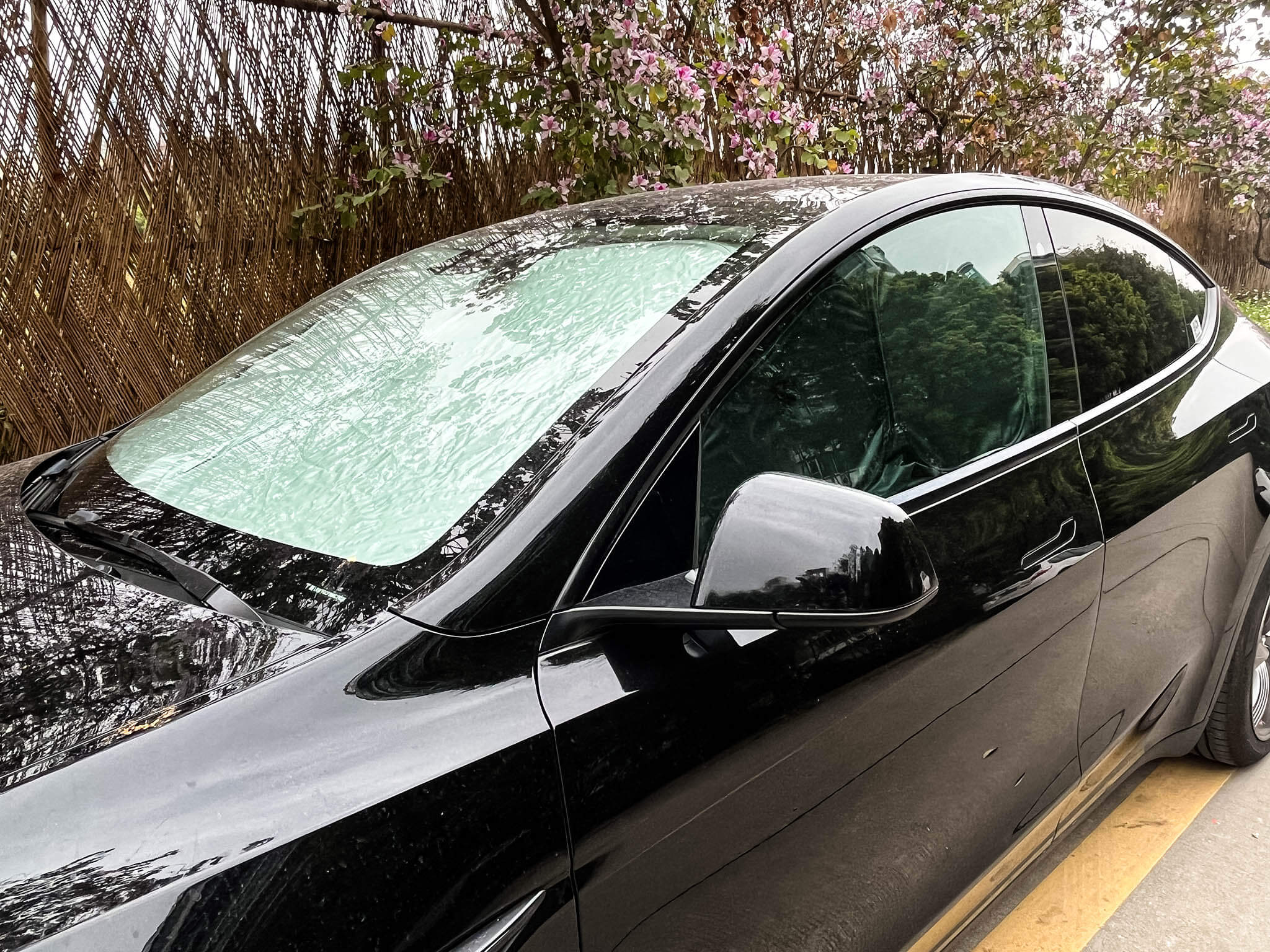 Tesla Model Y / 3 Side Window Sunshades (2017-2025) - UV Protection & Privacy Shield for Car Windows | Perfect for Road Trips & Parking in Direct Sunlight