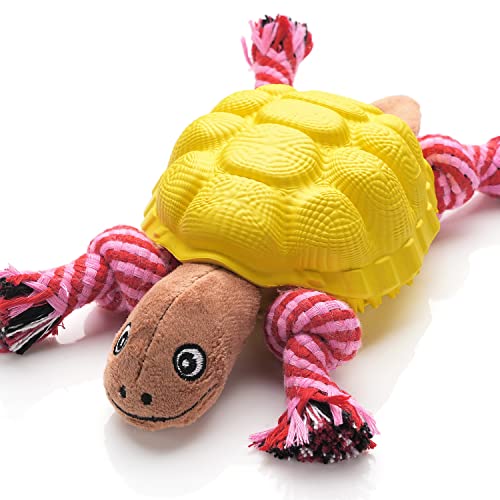 Yellow(Turtle)