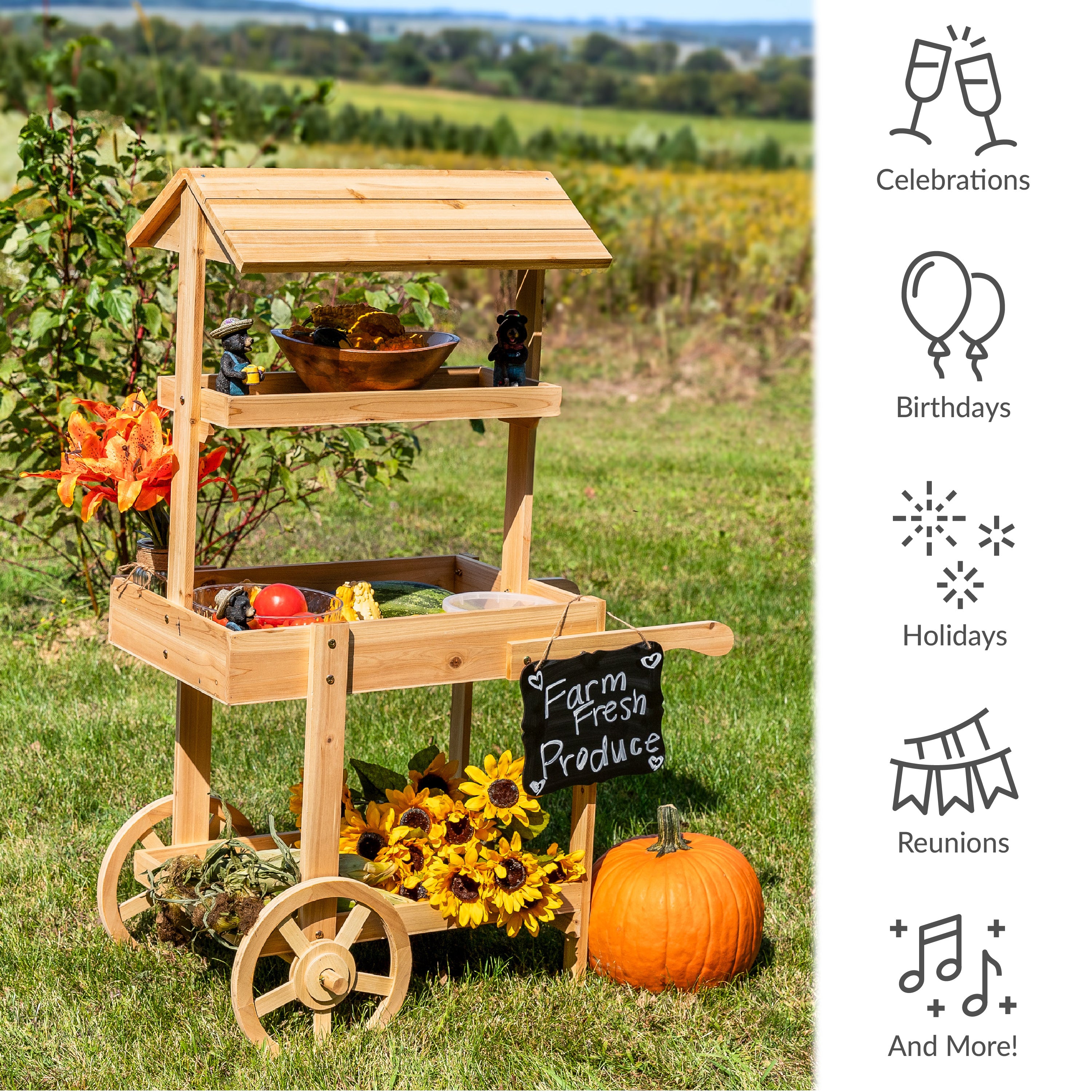 Sunnydaze Country Market Flower Cart Display Stand - 49.25