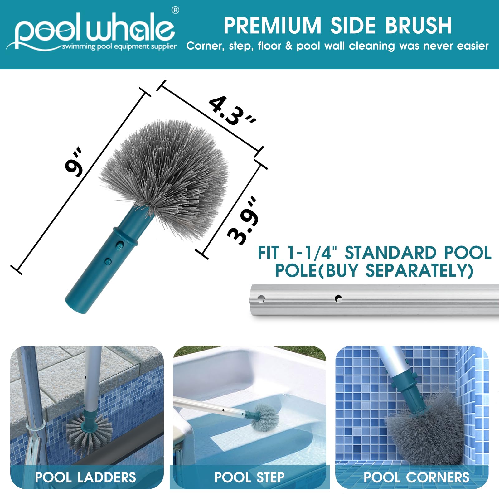 20'' Pool Brush Head with Durable Nylon Bristles - Detachable Swimming Pool Cleaning Brush for Walls, Steps & Corners - EZ Clip Aluminum Handle - Perfect for Inground & Above Ground Pools