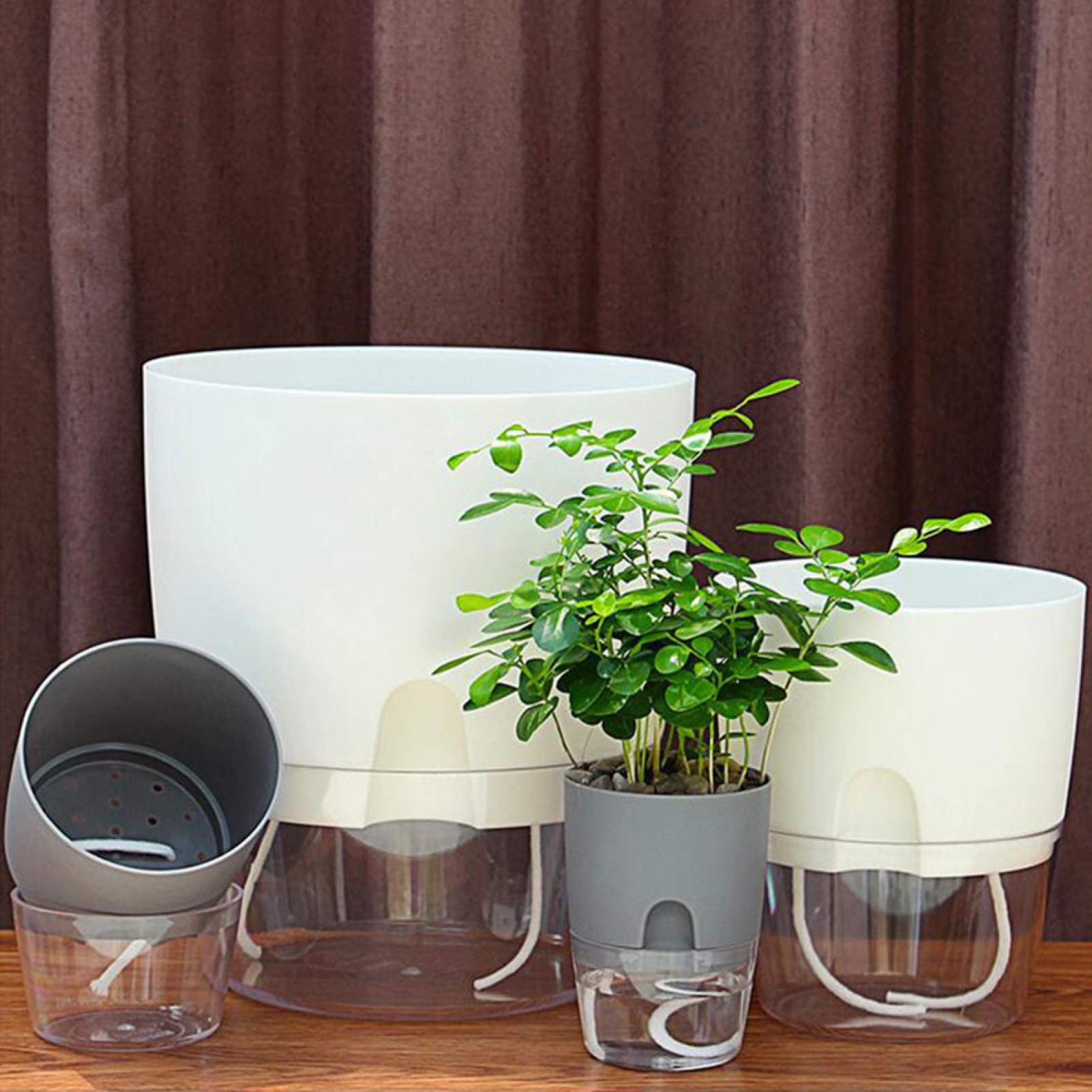 Self Watering Planter - Round Resin Flower Pot for Indoor Plants, Home & Office Decor (4 Inch) - Perfect for Succulents, Herbs and Small Houseplants