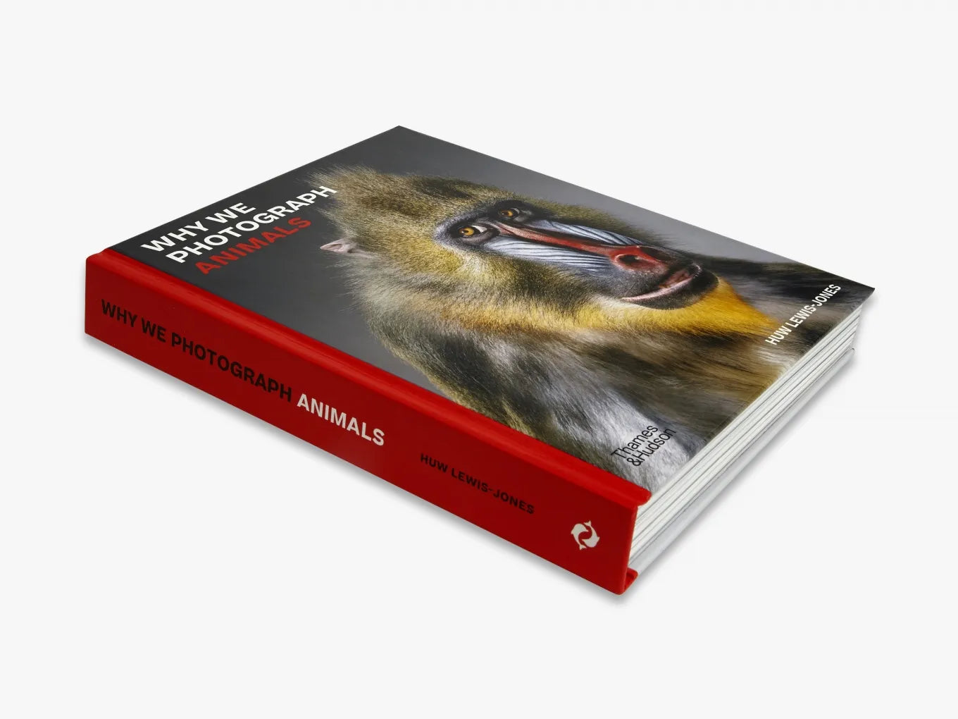 Why We Photograph Animals - Exploring Wildlife Photography & Animal Portraits for Nature Lovers and Conservationists | Perfect for Photo Books, Wall Art, and Educational Projects