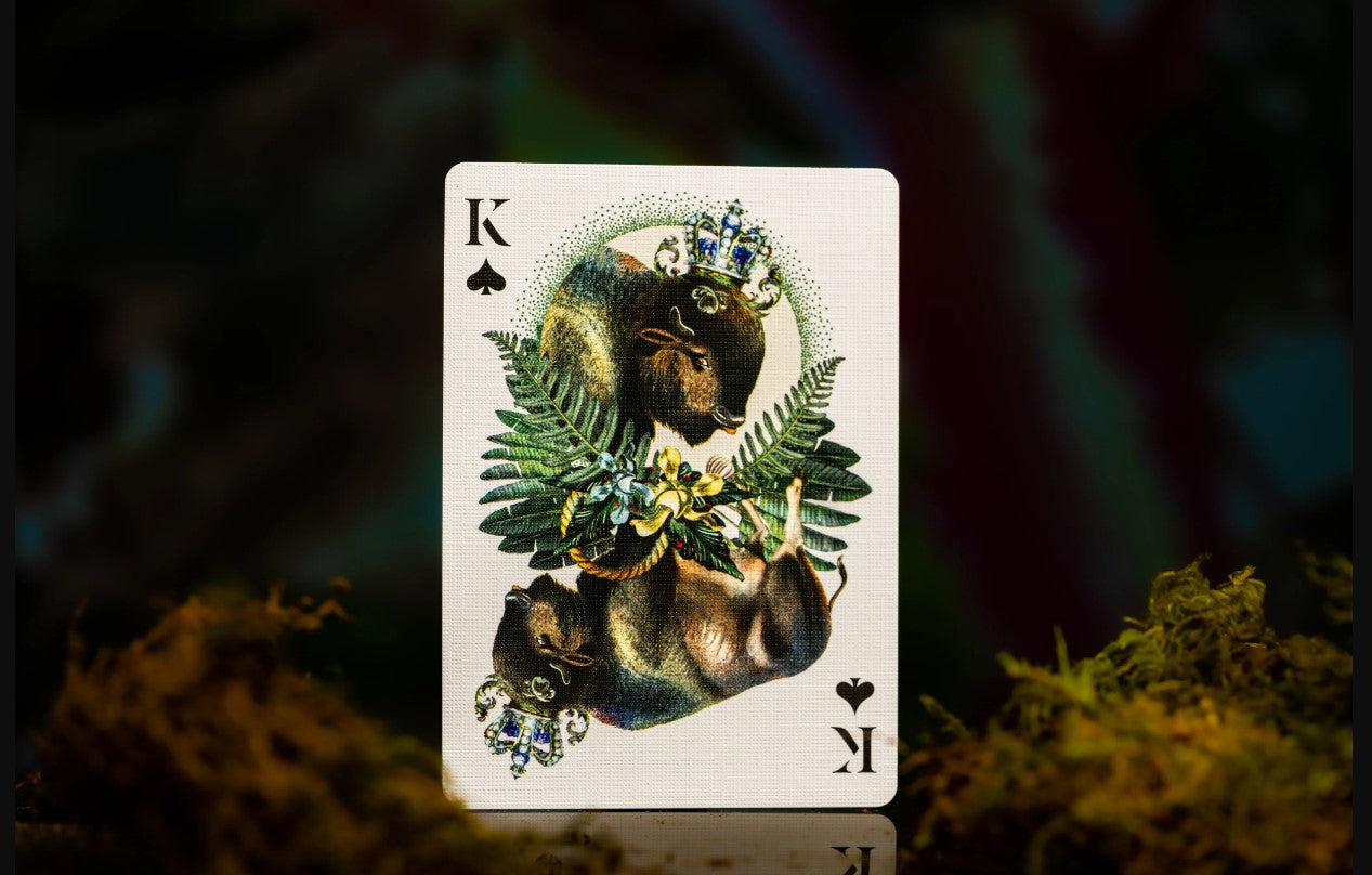 Extinct Animals by Moooi - Premium Collectible Playing Cards for Adults | Unique Educational Card Game for Family Game Night & Wildlife Enthusiasts