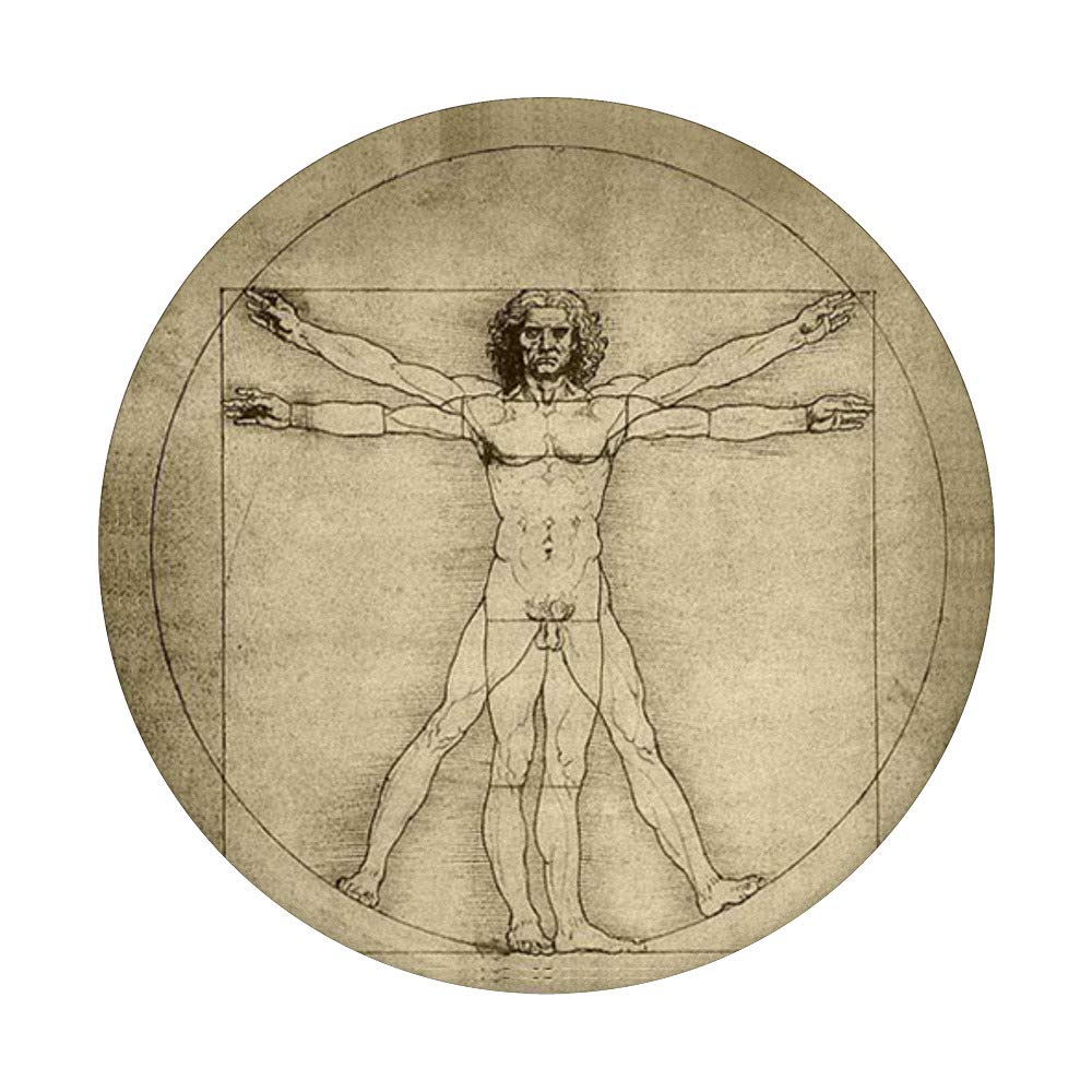 Da Vinci Code Vitruvian Man Mystery Wall Sockets - Unique Home Decor for Art Lovers & History Enthusiasts - Perfect for Living Rooms, Studies & Themed Spaces