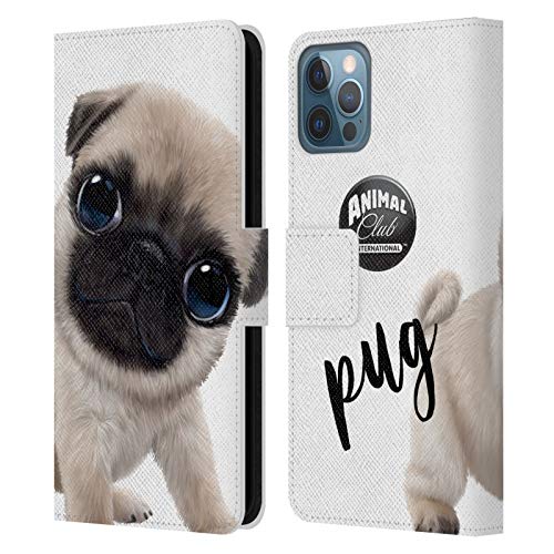 Pug