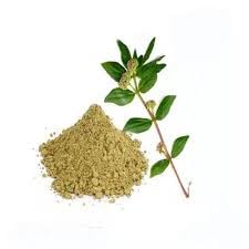 VS Products Amman Pacharisi Powder 450g | Euphorbia Hirta Powder | Dudhi Powder for Warts, Pimples & Wounds | Natural Herbal Remedy | Pack of 4 x 100g or 1 x 50g | Perfect for Skin Care & First Aid