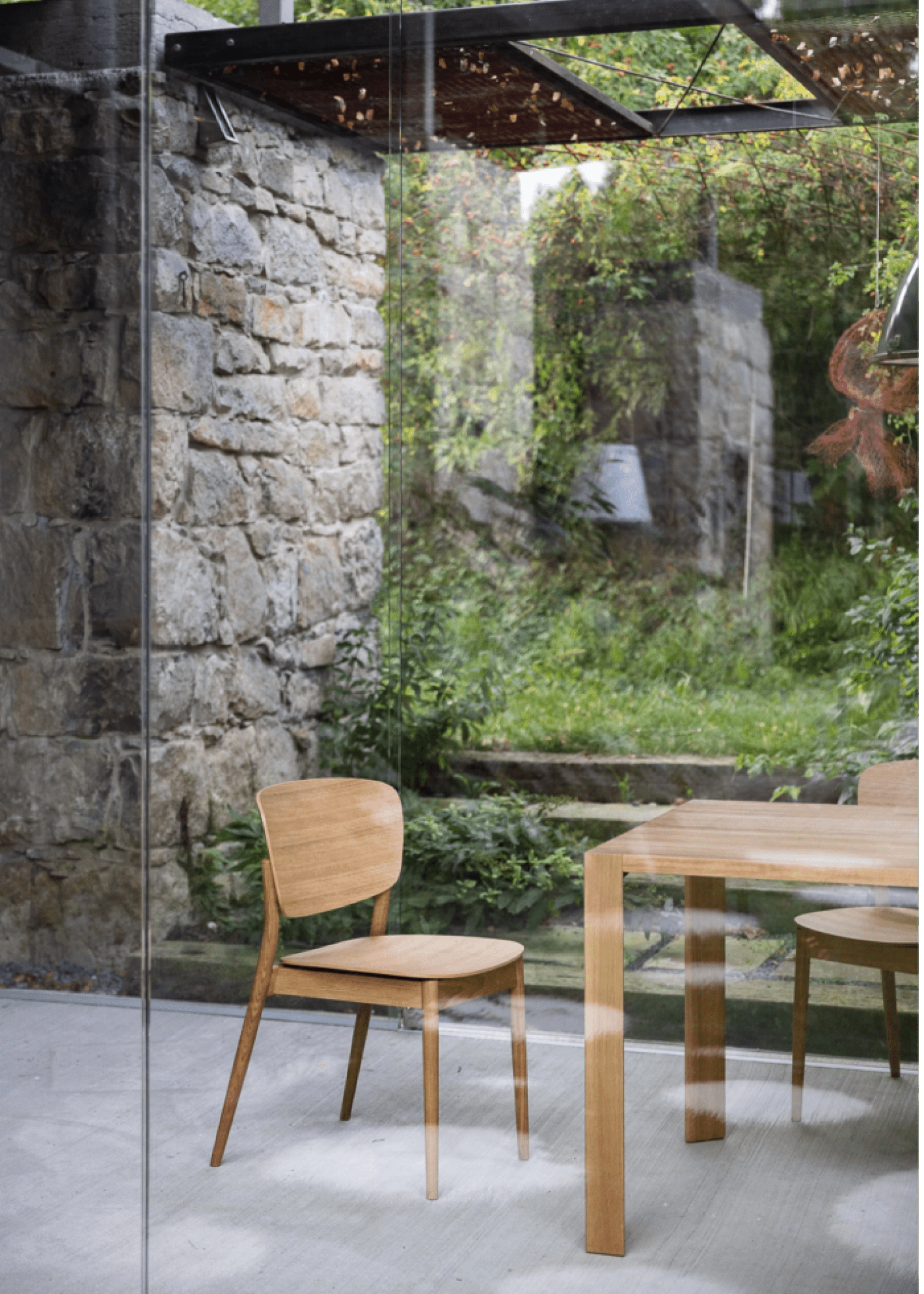 Valencia Side Chair by Ton - Modern Wooden Dining Chair for Kitchen, Living Room & Office - Comfortable & Stylish Seating Solution