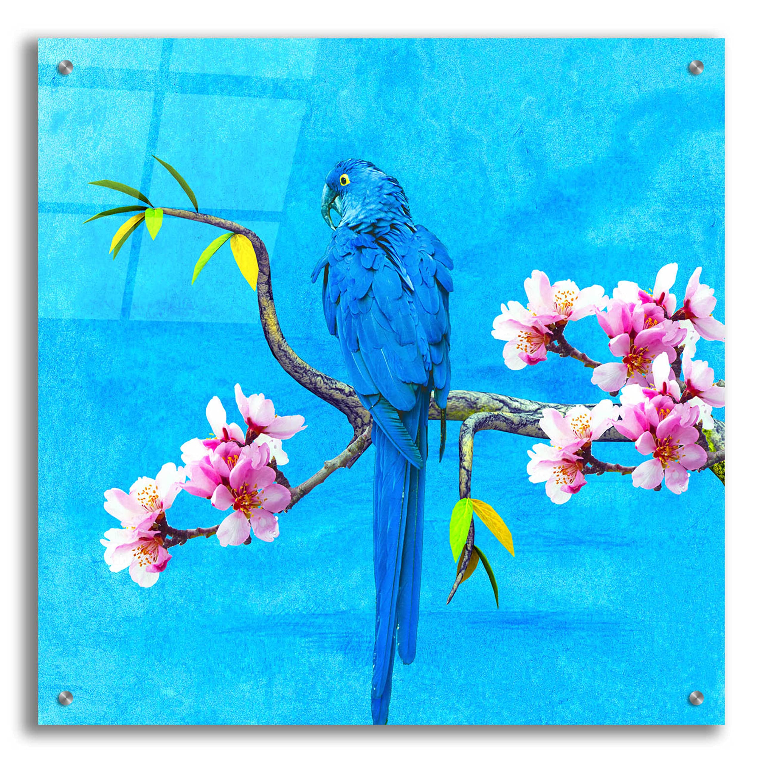 Epic 'Spring Bird and Flower' Acrylic Glass Wall Art by Ata Alishahi - 24x24 Inch Modern Home Decor for Living Room, Bedroom & Office