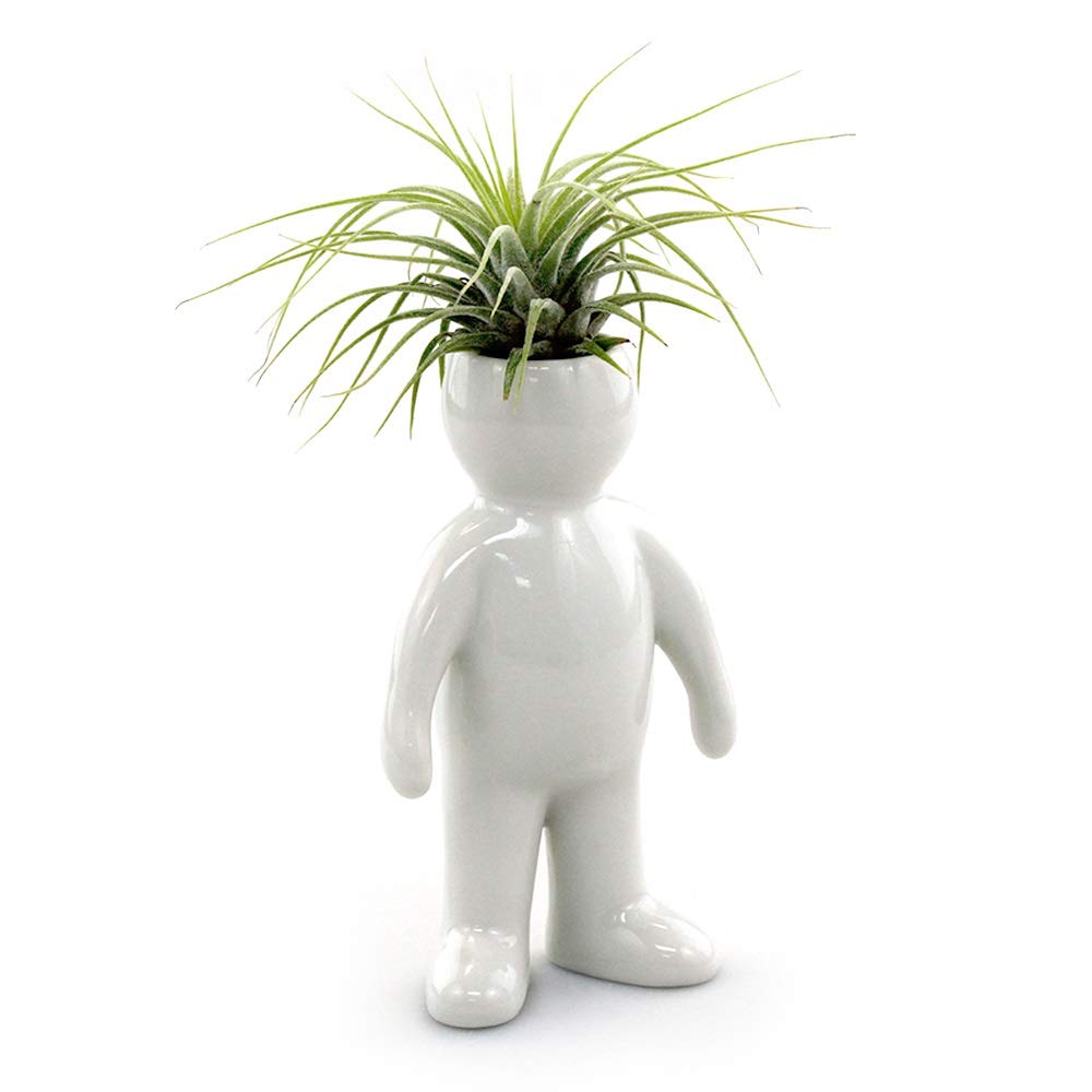NW Wholesaler Ceramic Air Plant Holders - Family & People Shaped Planters for Tabletop Display - Perfect for Air Plants & Mini Succulents - Home Office Decor, Wedding Centerpieces, Gift Ideas