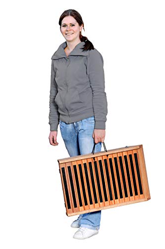Foldable Dog Ramp for Small to Medium Dogs - 47