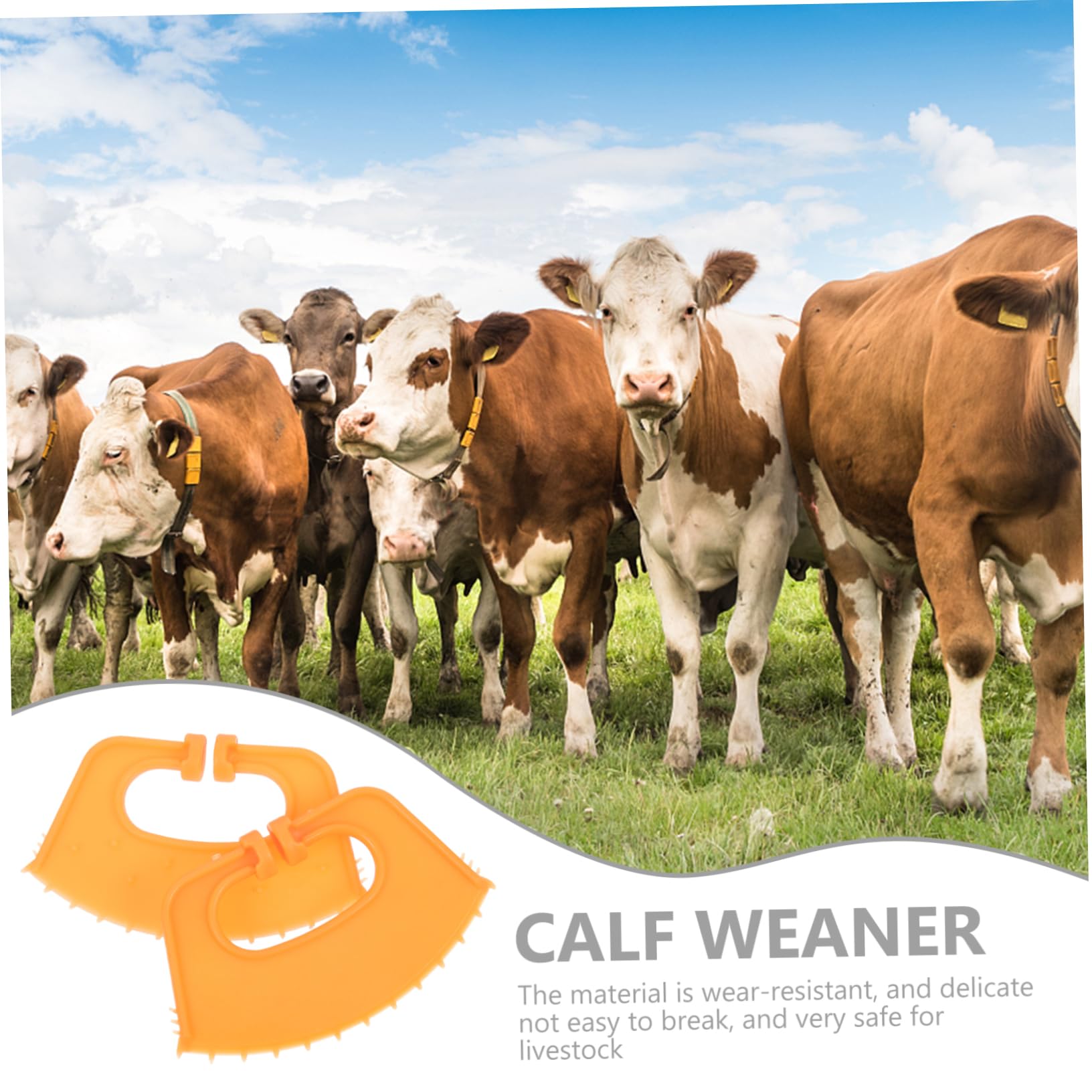 50 Pcs Orange PP Calf Weaner Rings - Livestock Nose Clamps for Cattle, Elk & Cows - Humane Training & Behavior Control - Perfect for Farm, Ranch & Dairy Use