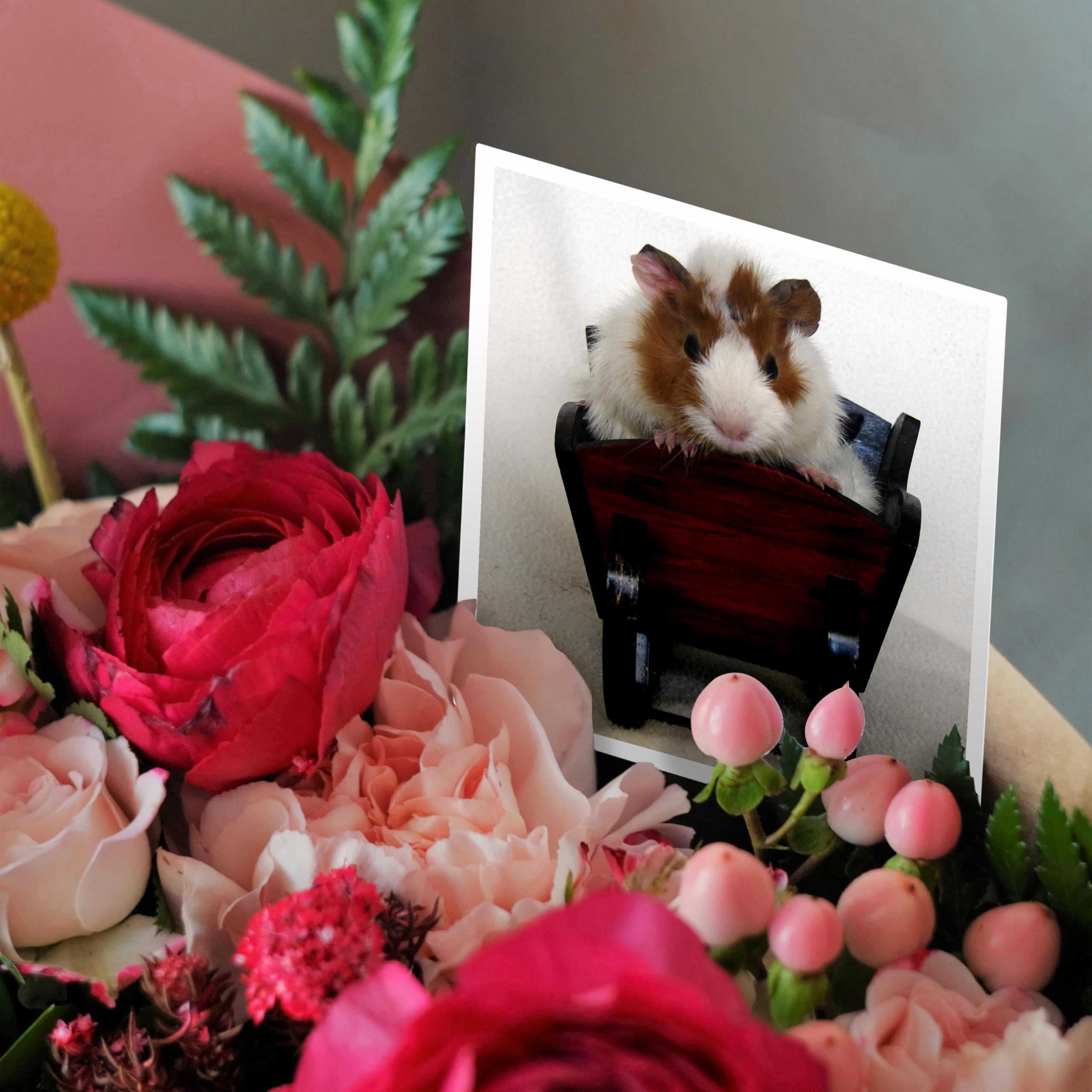 Cute Baby Guinea Pig in Sleigh Christmas Greeting Card - Animal Photography by Angelandspot - Perfect for Holiday Wishes, Birthday Cards & Pet Lover Gifts