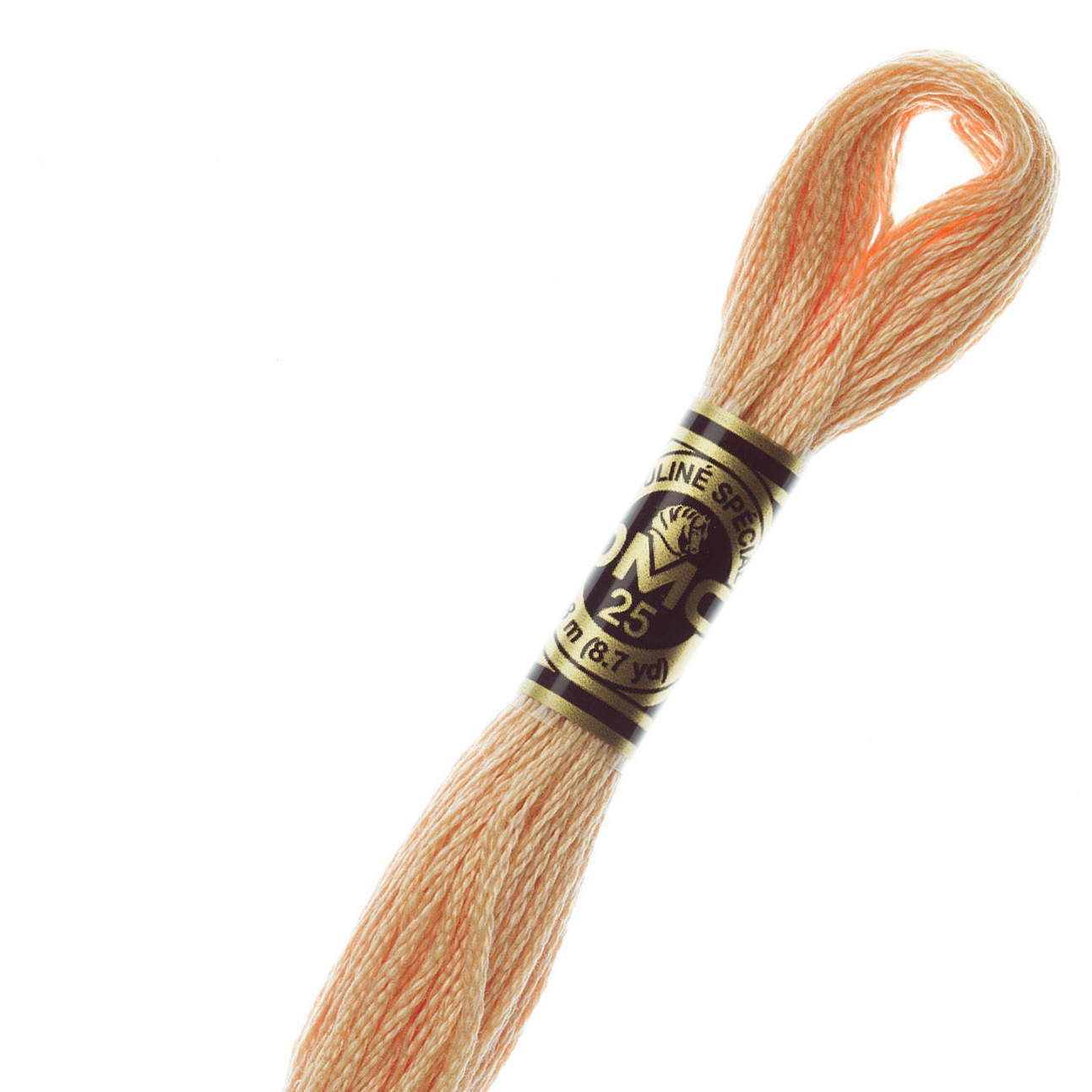 DMC 3856 100% Cotton Embroidery Floss - 6 Stranded Cross Stitch Thread for Hand Embroidery, Sewing & Craft Projects (Perfect for DIY, Scrapbooking & Needlework)