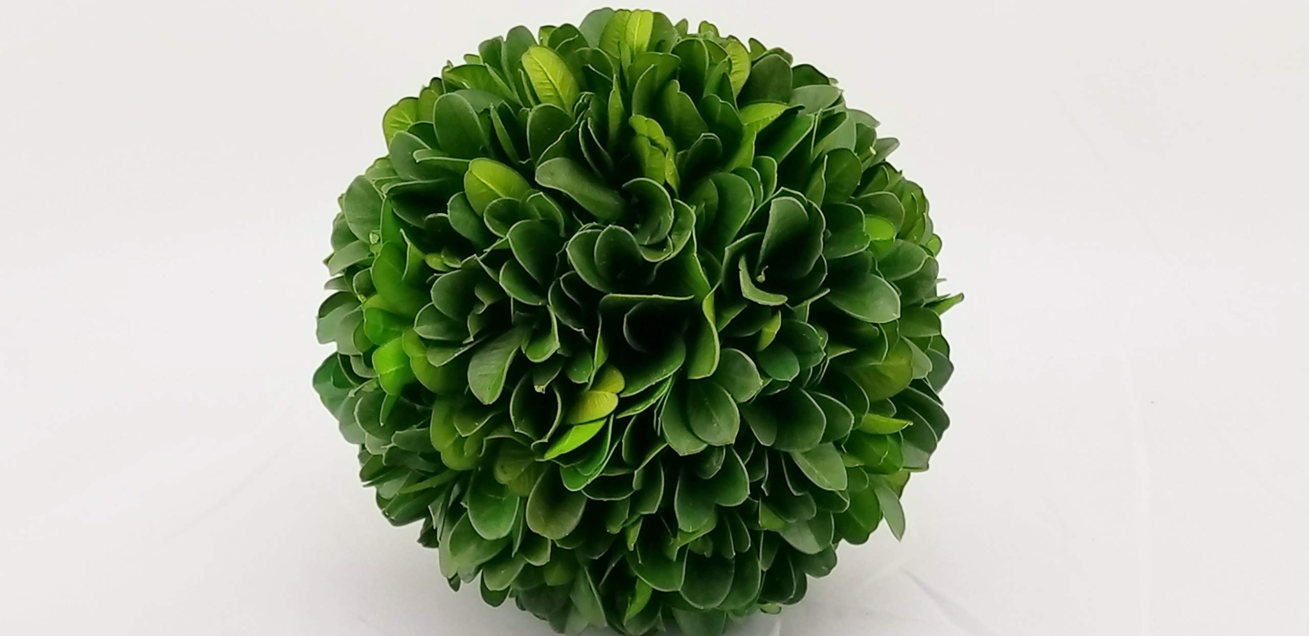 4 Inch Preserved Boxwood Balls - Artificial Topiary Decor for Home, Garden, and Wedding Centerpieces | Tradingsmith
