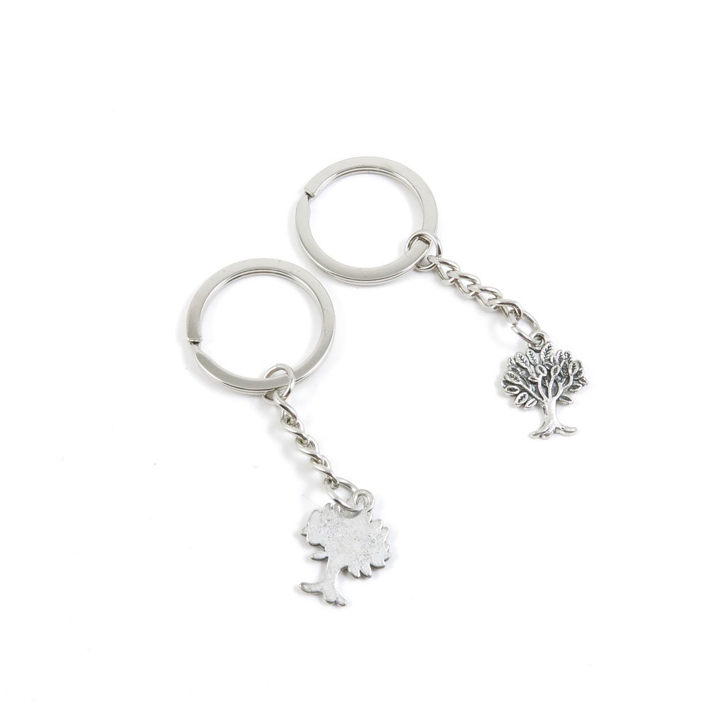 Fashion Jewelry Keychain Set - Bulk Wholesale Key Rings for Car Keys, House Keys & Gift Tags - Durable Oak Tree Design Keychains for Everyday Use, Office, Travel & Gifting (Q6AE5 Life String Collection)