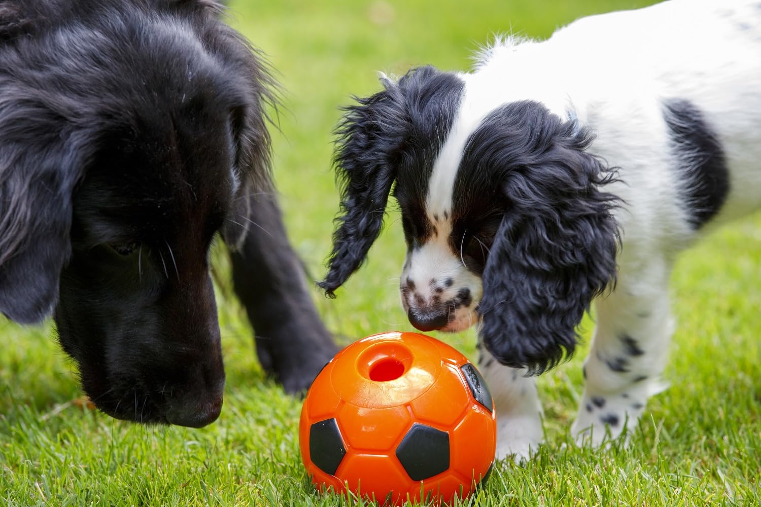 Seriously Strong Football Treat Dog Toy - Durable Chew Toy for Aggressive Chewers - Perfect for Fetch, Training & Playtime