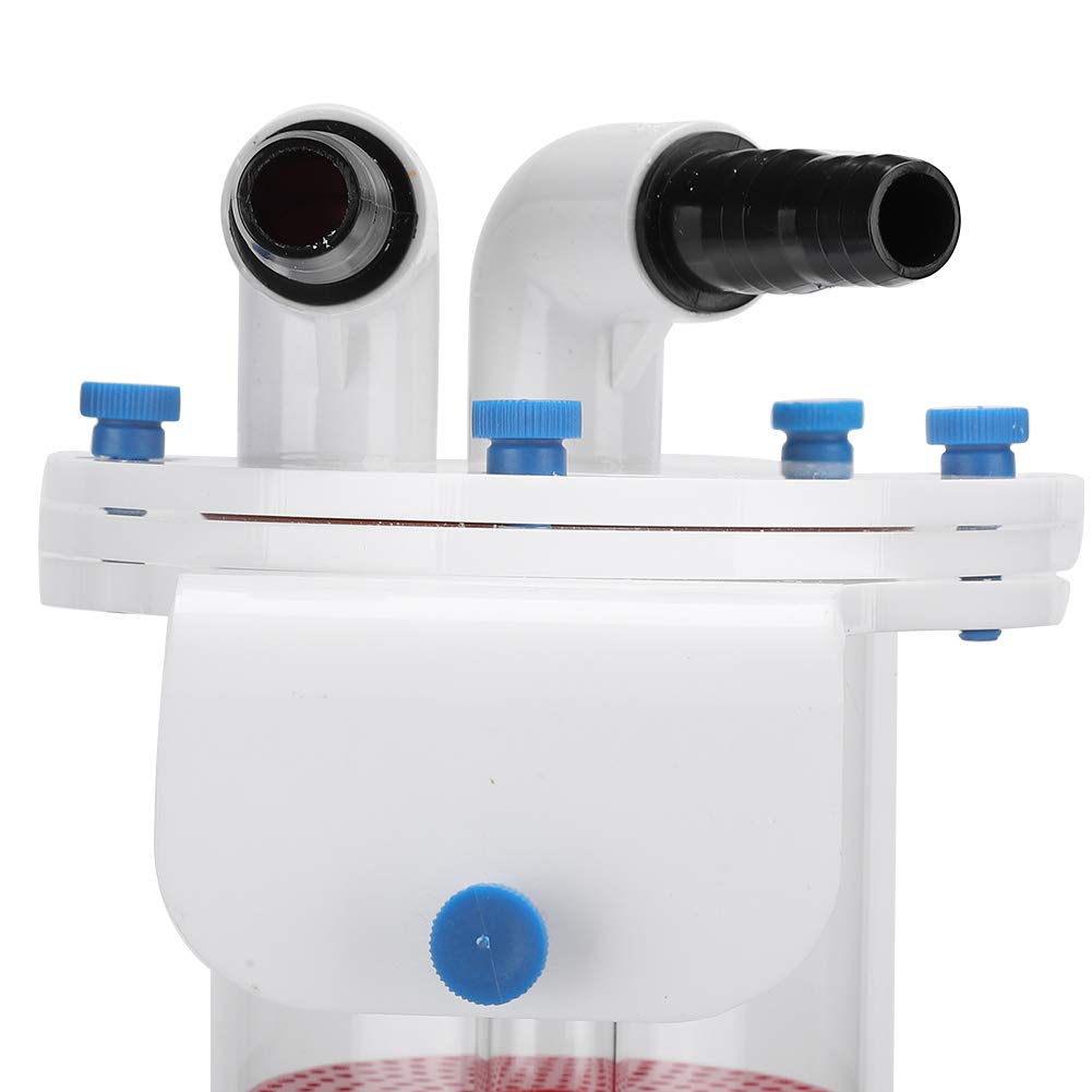 ViaGasaFamido NP Bio Filter - Professional Acrylic Aquarium Biological Filter with Bio Beads for Saltwater & Freshwater Tanks | Improves Water Clarity & Reduces Nitrates | Perfect for Reef Tanks, Fish Tanks & Aquatic Ecosystems