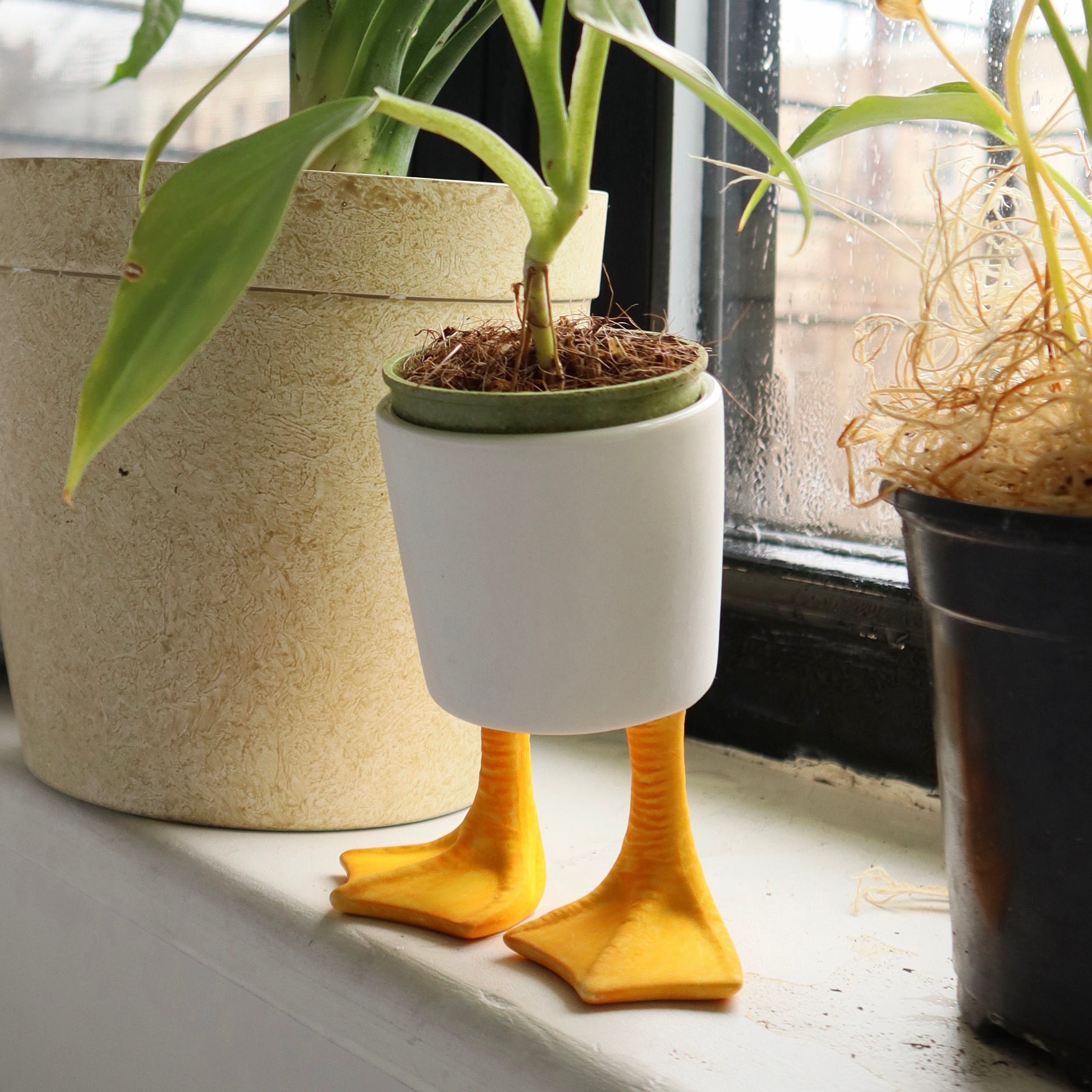 Large Duck Feet Planter - Unique Animal Shaped Flower Pot for Indoor/Outdoor Plants - Perfect for Home Decor, Garden, and Office Spaces