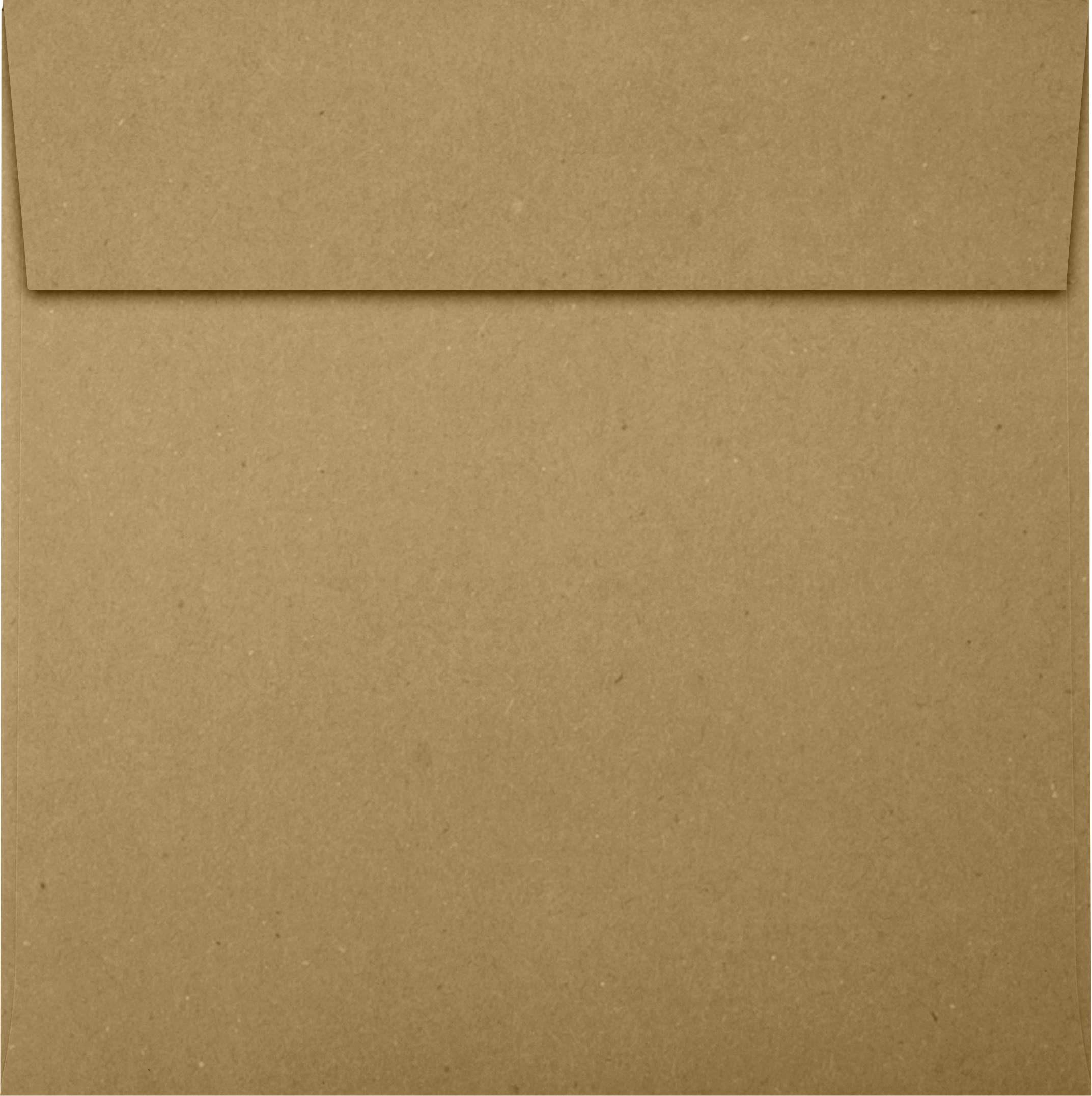 Premium LUXPaper Square Invitation Envelopes 5.5
