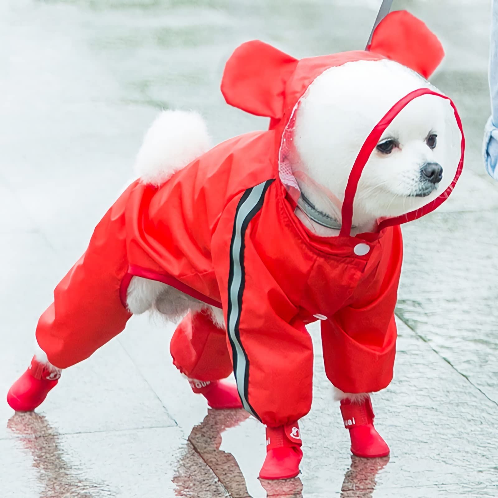 Waterproof Dog Raincoat for Small & Medium Dogs - Cute Cartoon Hooded Poncho for Pets | Outdoor Walking & Rainy Day Protection