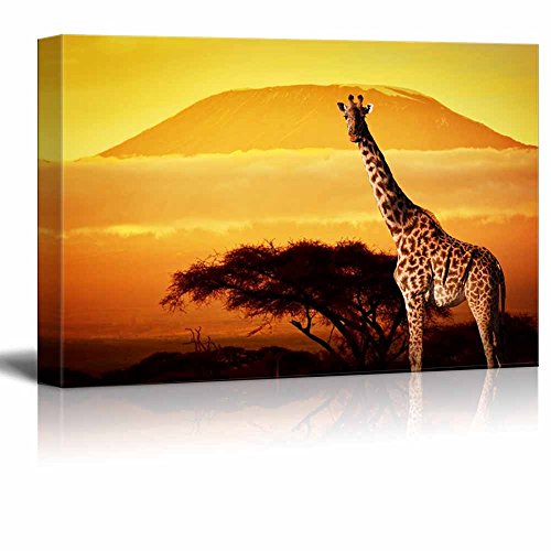 Giraffe on Savanna