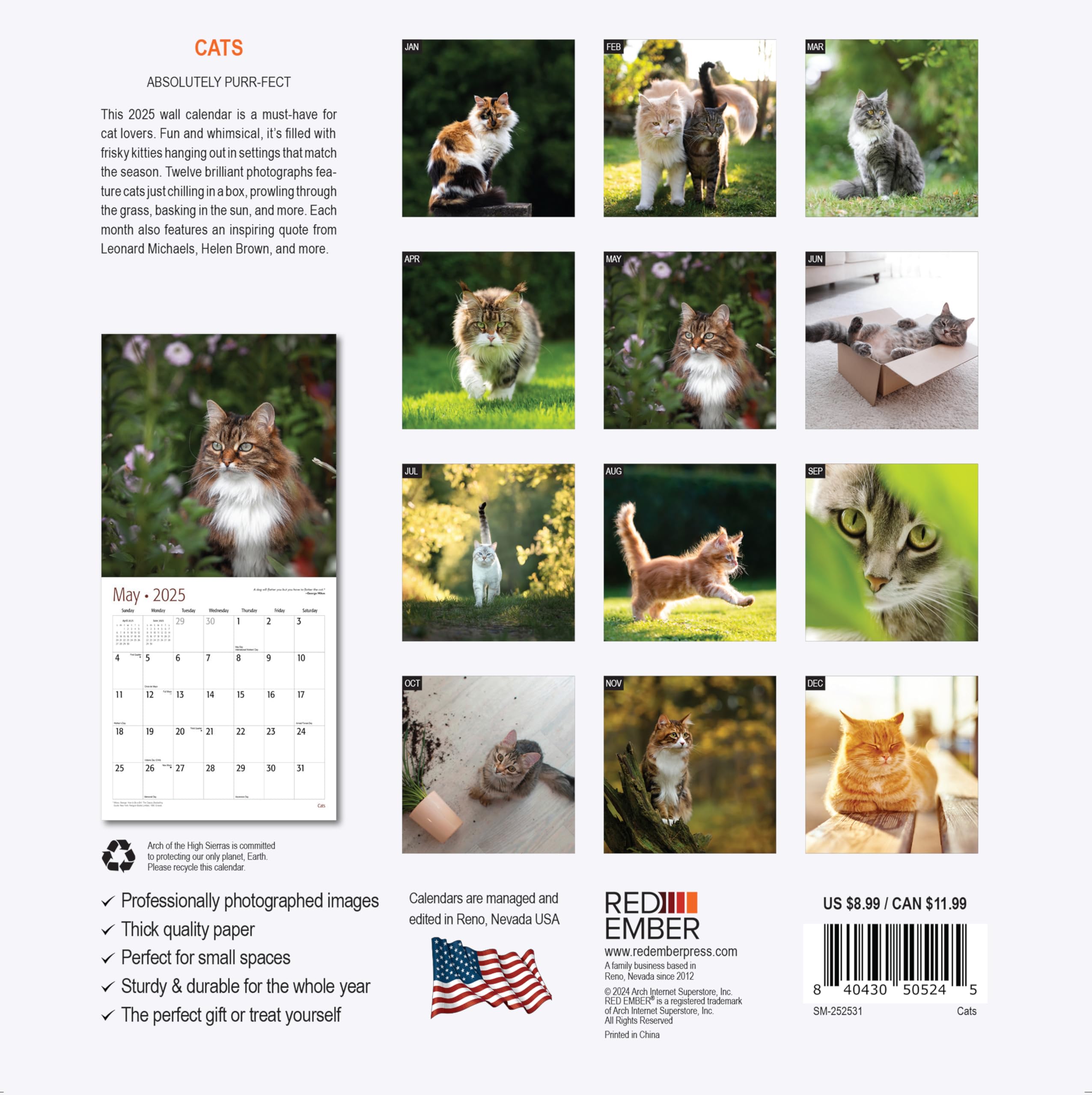 RED EMBER Cats Mini 2025 Wall Calendar - 12 Month Cute Cat Lovers Calendar (7