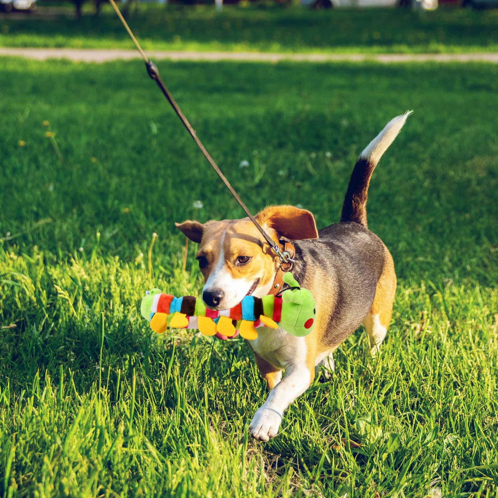 Balacoo 2-Pack Soft Plush Caterpillar Dog Chew Toys - Durable Puppy Teething Toys for Small & Medium Dogs, Interactive Fetch & Molar Relief Pet Toys - Perfect for Indoor Play, Training Rewards & Anxiety Relief