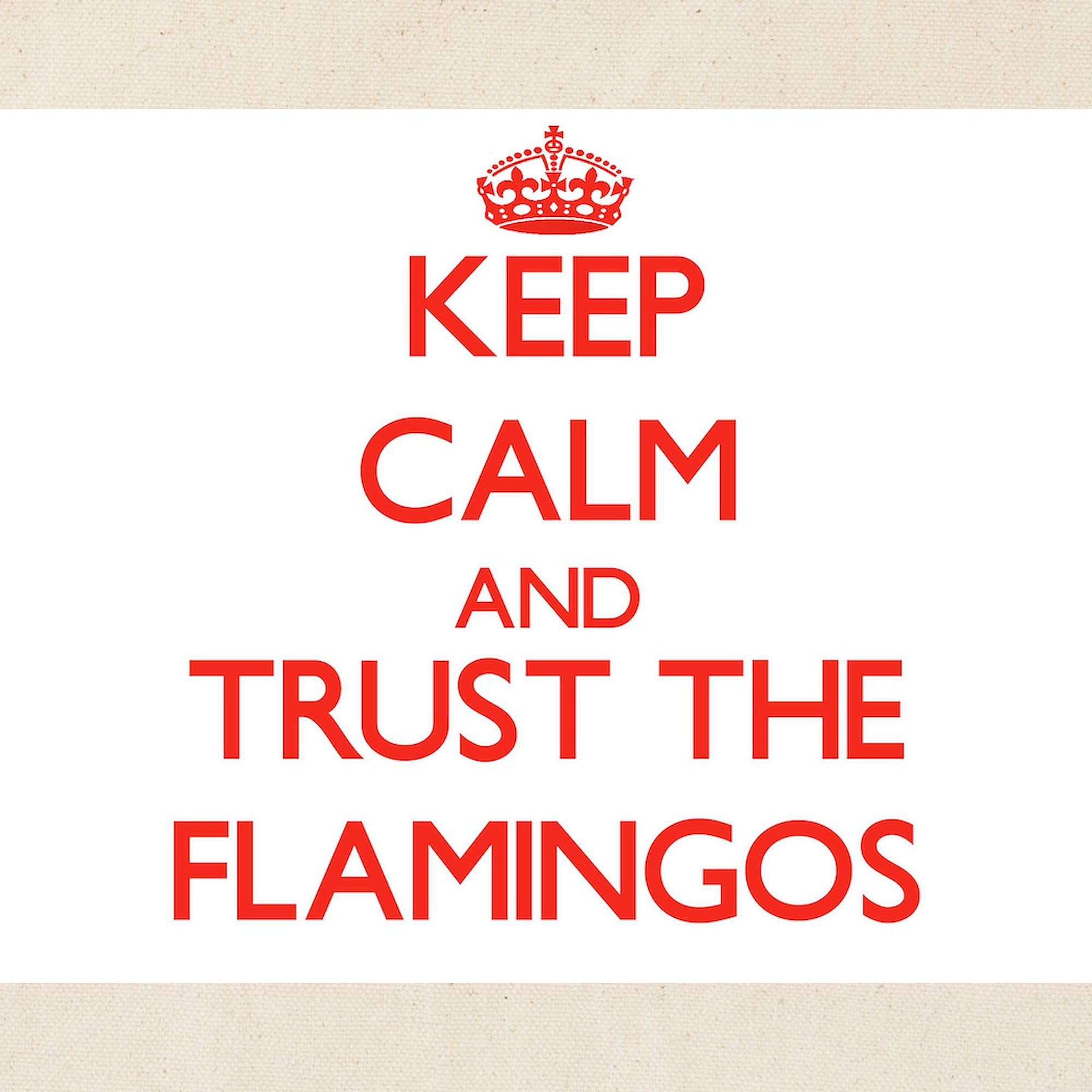 Keep Calm And Trust The Flamingos Tote Bag - Natural Canvas Reusable Shopping Bag for Groceries, Beach & Everyday Use