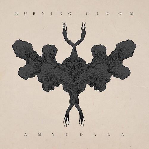 Amygdala Vinyl LP Record - Limited Edition Music Album for Collectors & Audiophiles - Perfect for Home Listening & Gifts