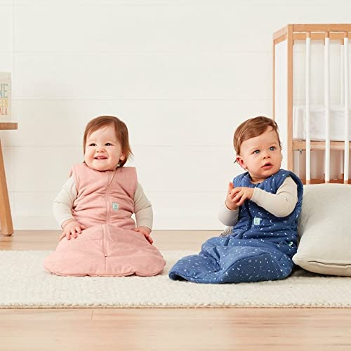 ErgoPouch 2.5 TOG Baby Sleep Sack for 3-6 Months - Warm & Cozy Infant Sleeping Bag - Cocoon Swaddle Sack to Keep Baby Calm & Relaxed (Berries) - Perfect for Nursery, Daycare & Travel