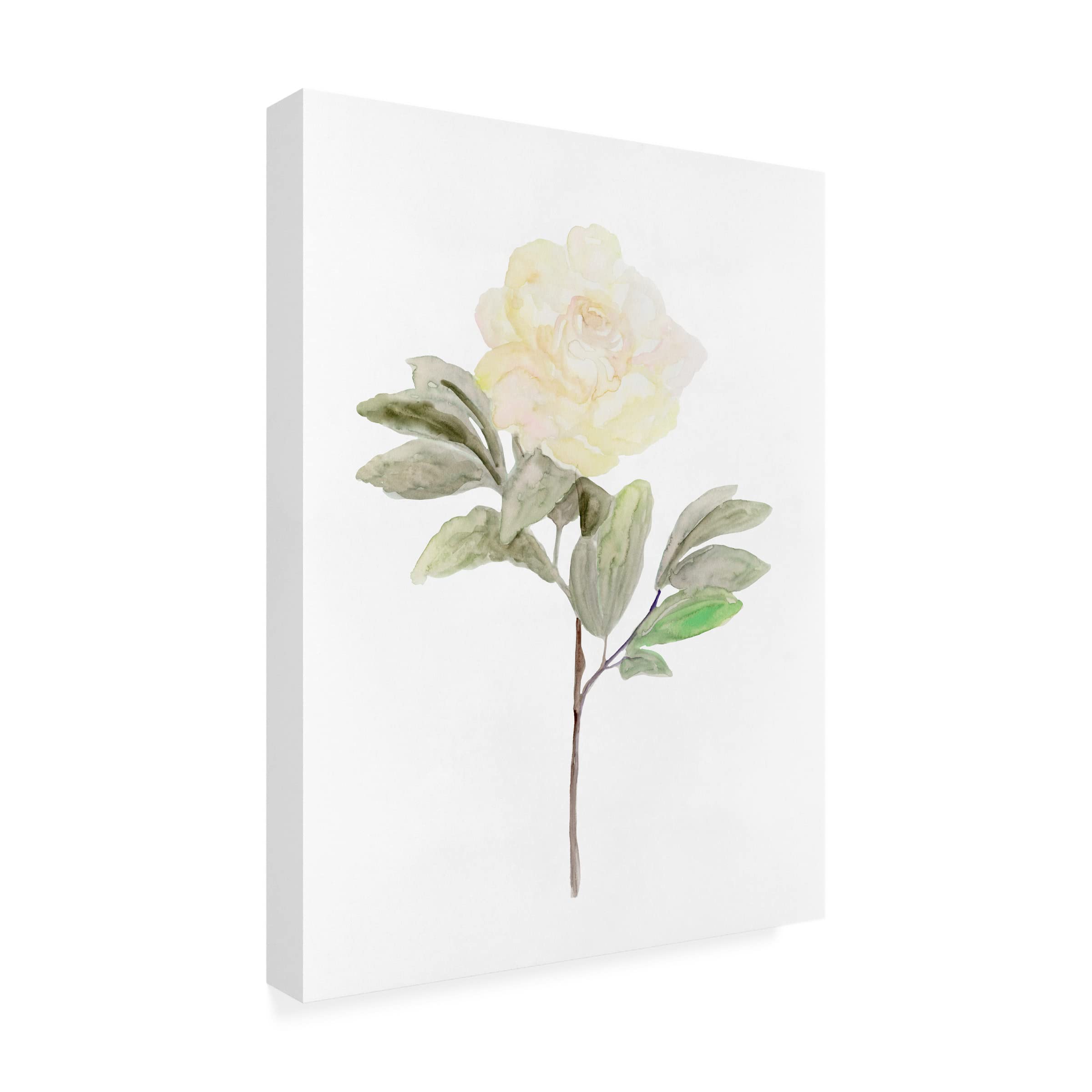 Stellar Design Studio 'White Blossom V' Floral Canvas Wall Art - Modern Botanical Home Decor for Living Room, Bedroom & Office