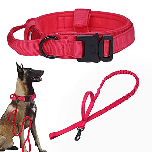 Red SET(collar+leash)