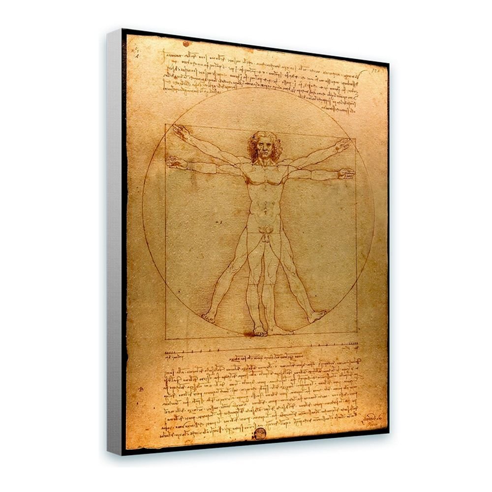 Alonline Art - The Vitruvian Man by Leonardo Da Vinci | Premium Canvas Print | Ready to Frame (31