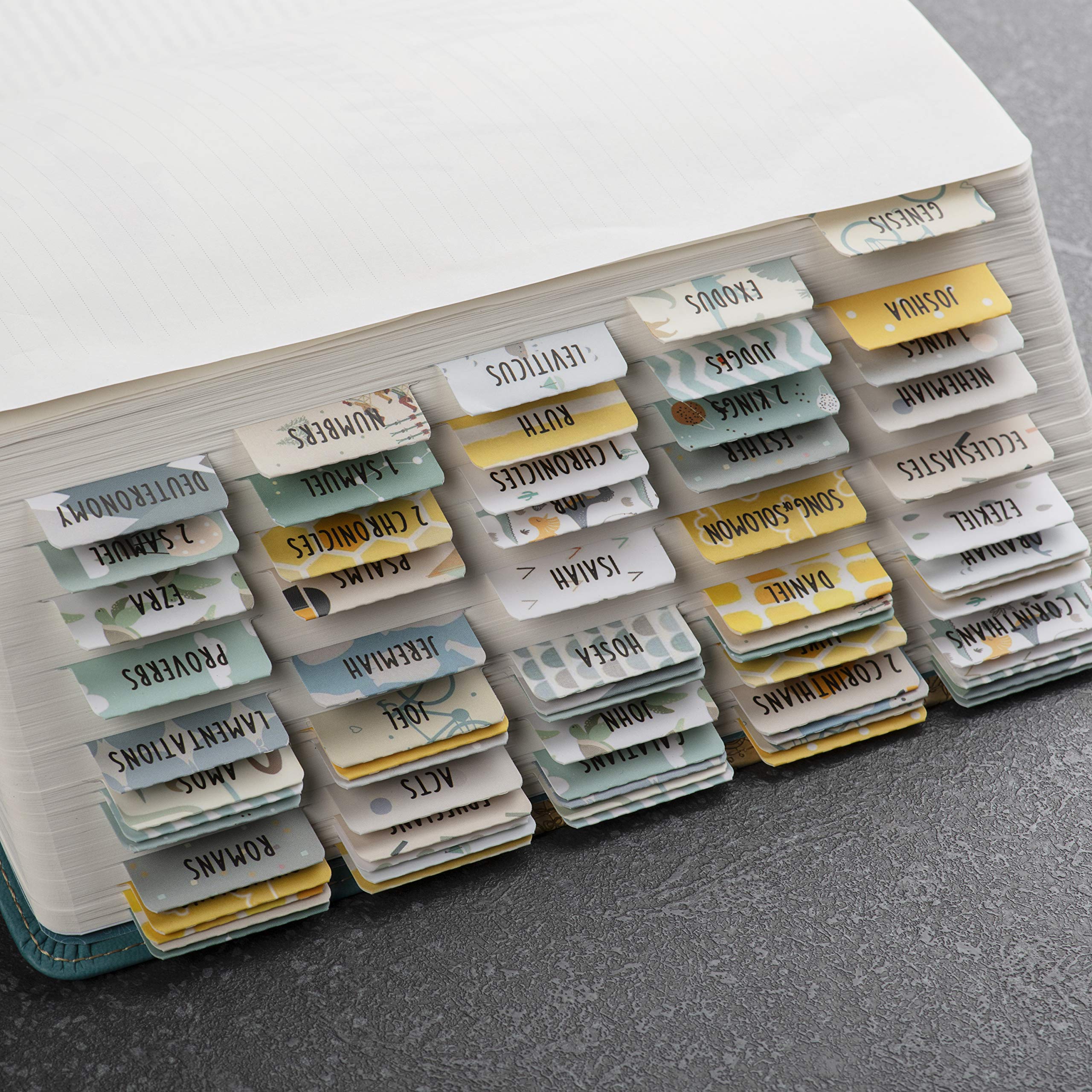 DiverseBee Laminated Bible Tabs - Large Print Easy Read 66 Tabs for Old & New Testament with 11 Blank Tabs (Adventure Theme) | Perfect for Bible Study, Journaling & Christian Gifts