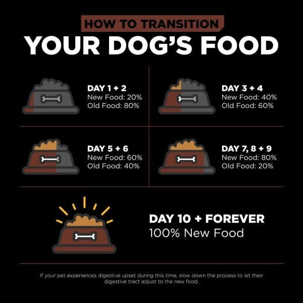 Premium Large Breed Puppy Food - Go! Solutions Skin & Coat Care Salmon & Grains Recipe | Supports Healthy Growth & Shiny Coat for Labrador, German Shepherd & Big Dogs | Ideal for Active Puppies & Sensitive Skin Care